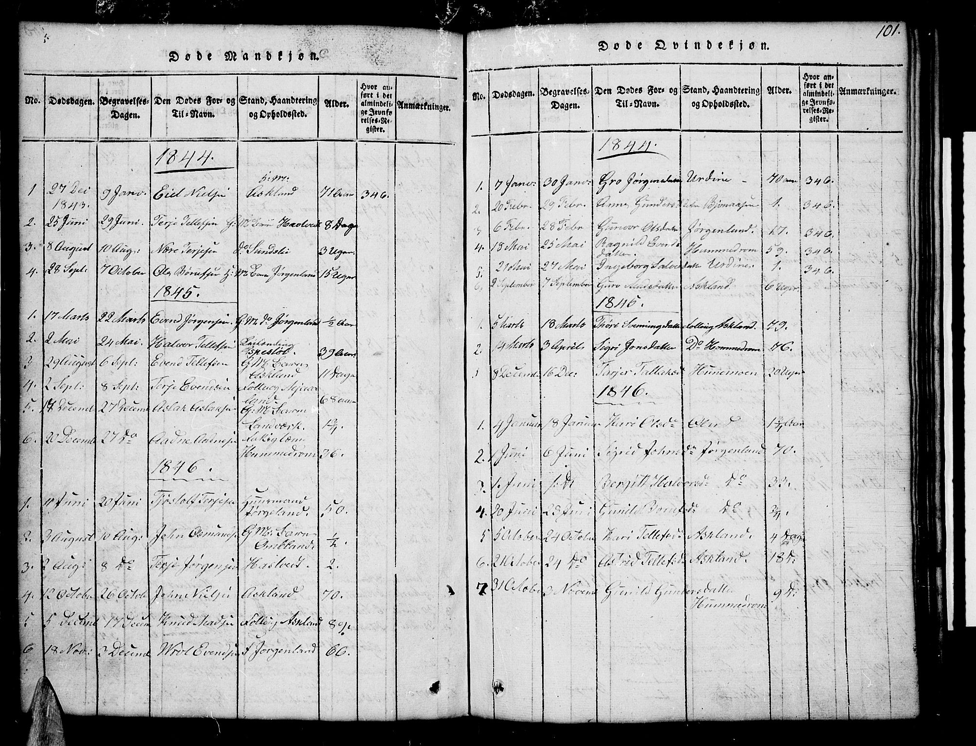 Åmli sokneprestkontor, AV/SAK-1111-0050/F/Fb/Fba/L0001: Parish register (copy) no. B 1, 1816-1890, p. 101