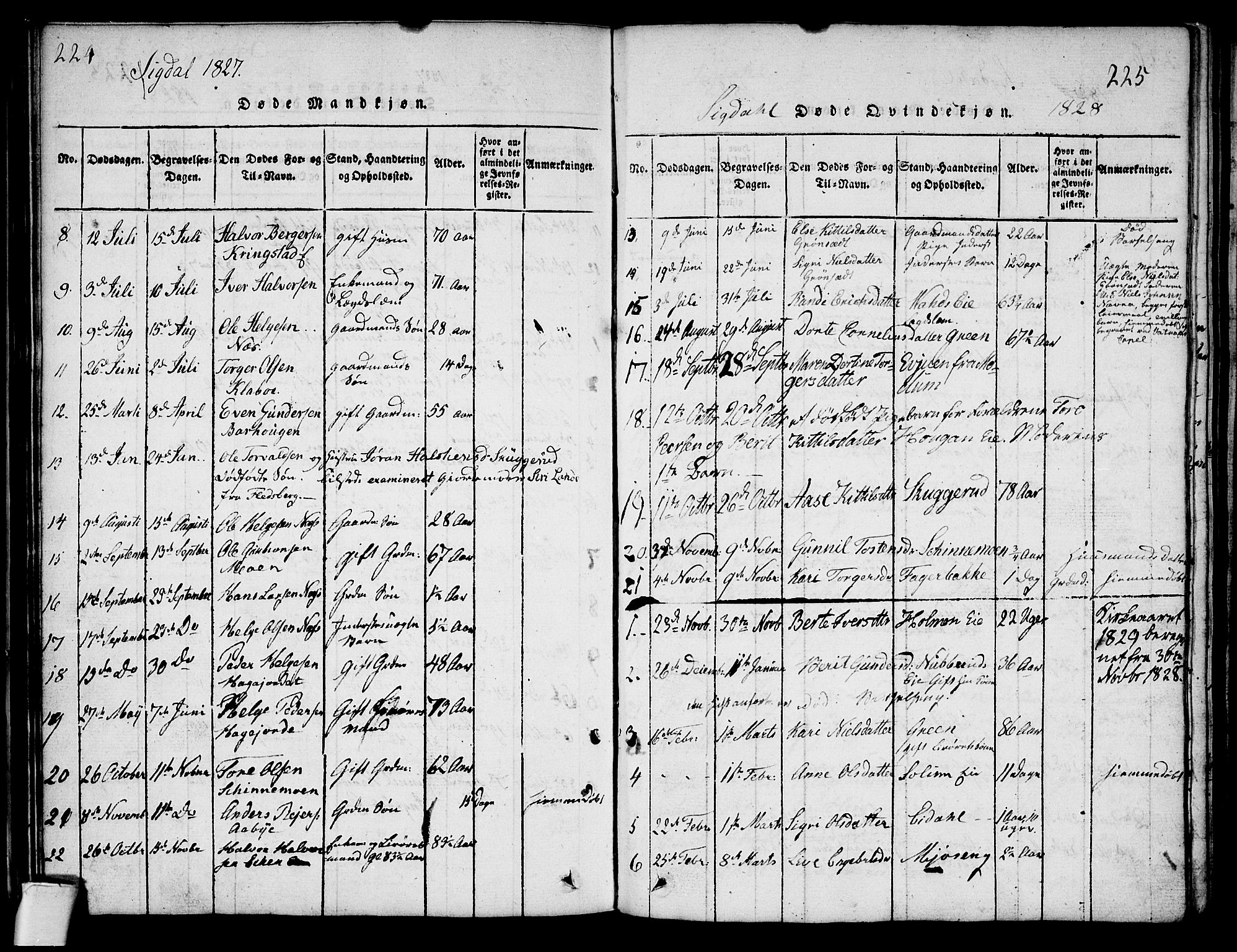 Sigdal kirkebøker, AV/SAKO-A-245/G/Ga/L0001: Parish register (copy) no. I 1 /1, 1816-1835, p. 224-225