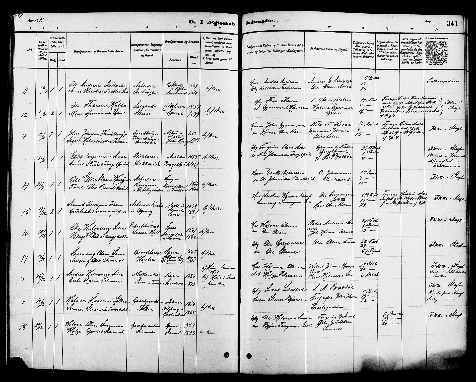 Heddal kirkebøker, SAKO/A-268/G/Ga/L0002: Parish register (copy) no. I 2, 1879-1908, p. 341