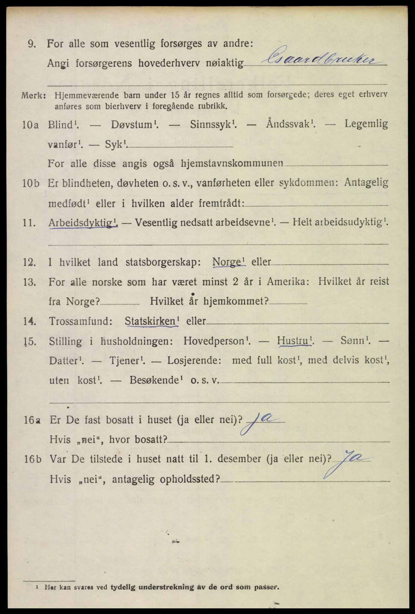 SAH, 1920 census for Sør-Aurdal, 1920, p. 1706