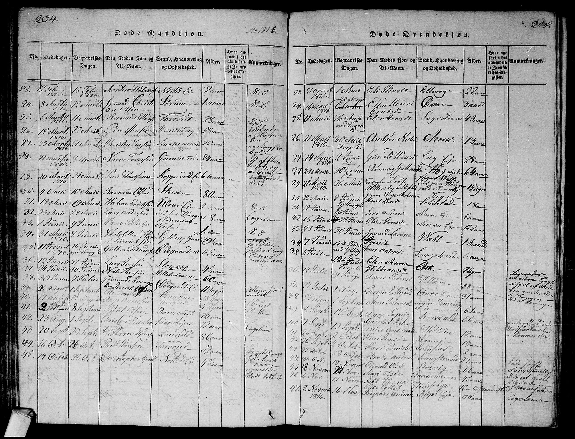 Lier kirkebøker, AV/SAKO-A-230/G/Ga/L0001: Parish register (copy) no. I 1, 1813-1824, p. 204-205