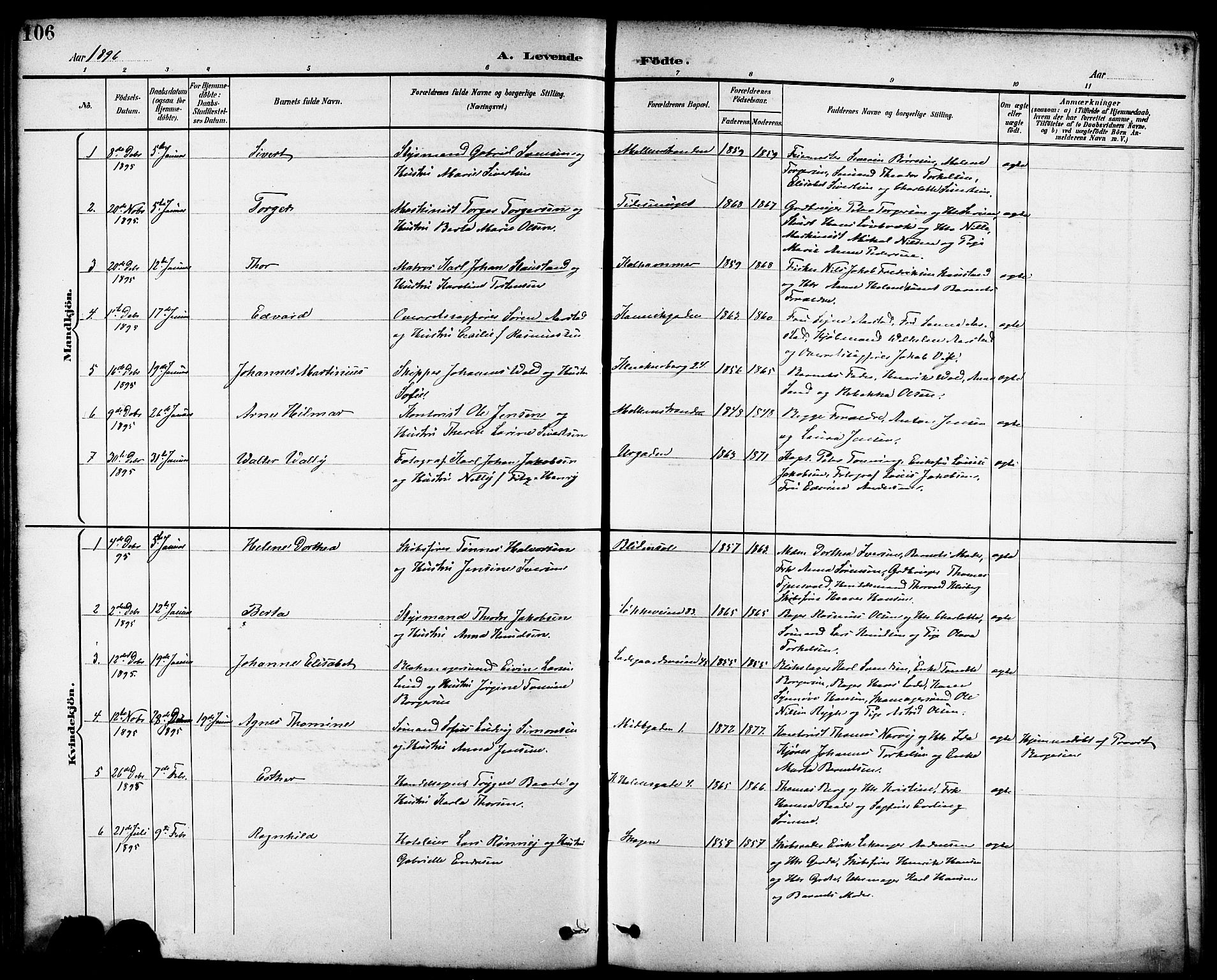Domkirken sokneprestkontor, SAST/A-101812/001/30/30BB/L0016: Parish register (copy) no. B 16, 1891-1902, p. 106
