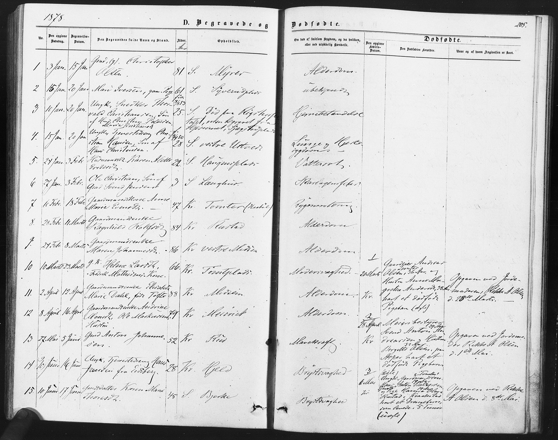 Kråkstad prestekontor Kirkebøker, AV/SAO-A-10125a/F/Fa/L0008: Parish register (official) no. I 8, 1870-1879, p. 205