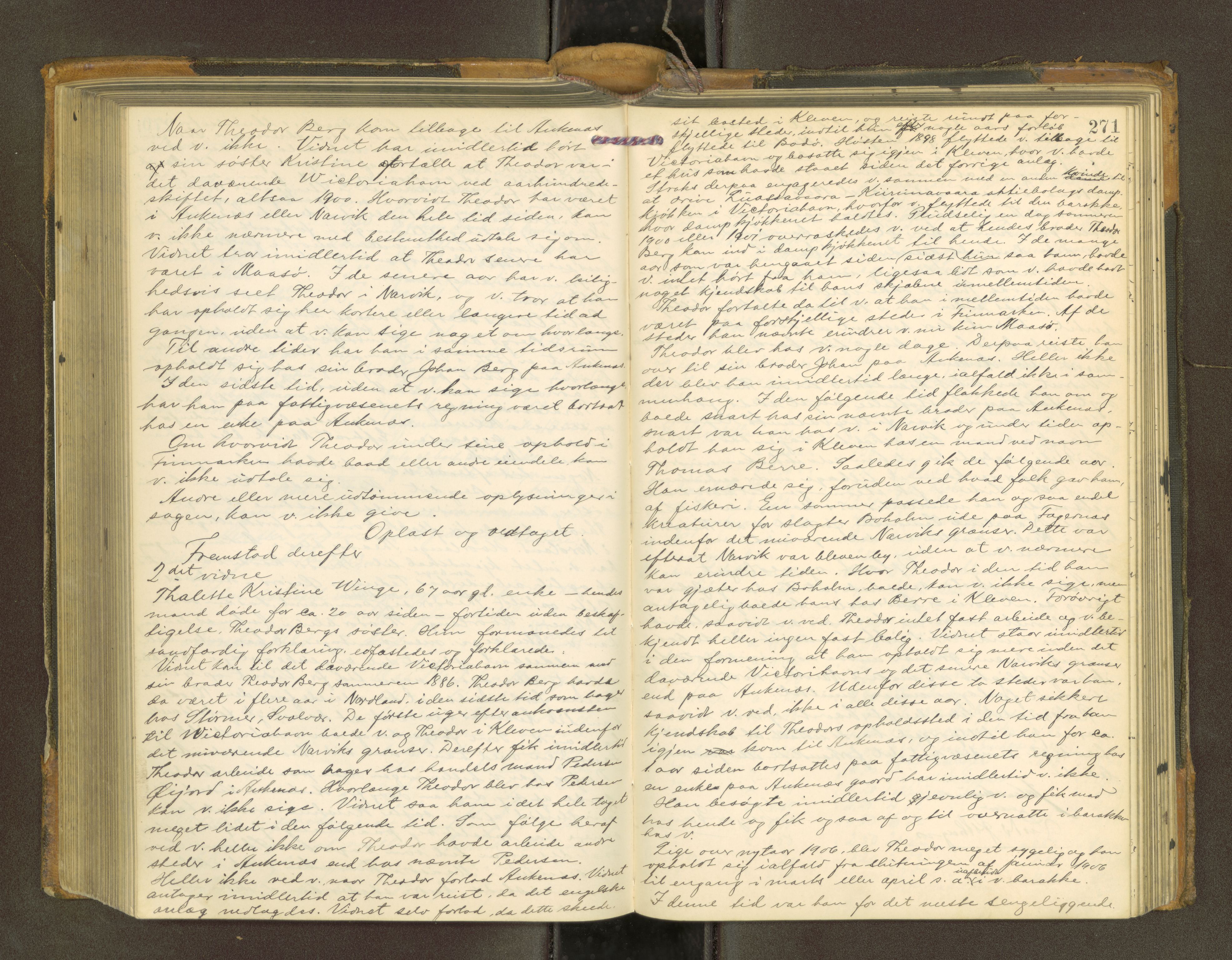 Steigen og Ofoten sorenskriveri, AV/SAT-A-0030/1/1/1E/L0003: Forhandlinger, 1899-1910, p. 270b-271a