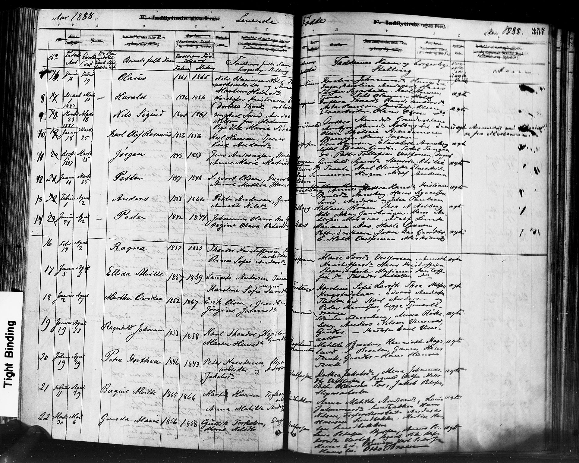 Eiker kirkebøker, SAKO/A-4/F/Fb/L0001: Parish register (official) no. II 1, 1878-1888, p. 357