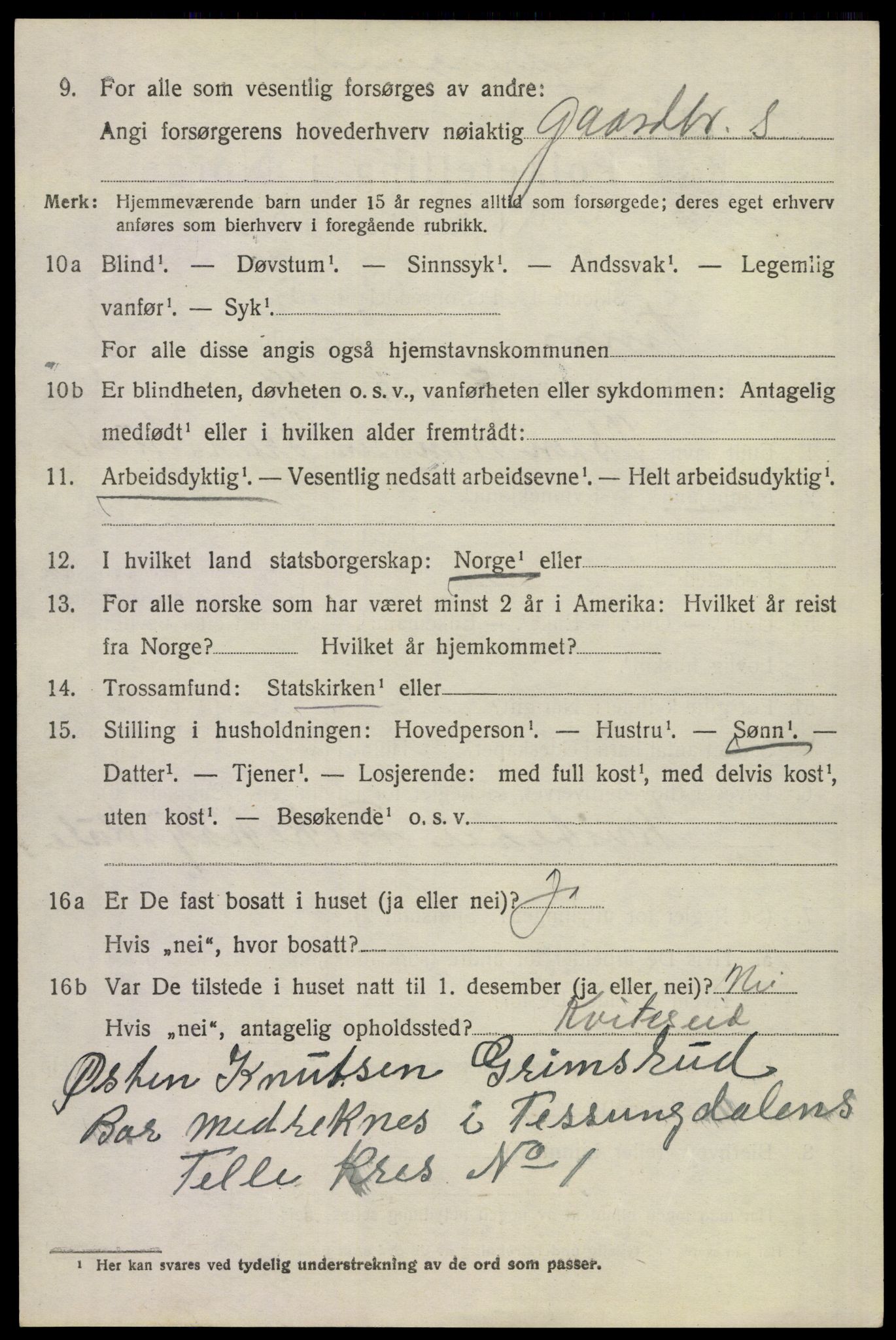 SAKO, 1920 census for Tinn, 1920, p. 2781
