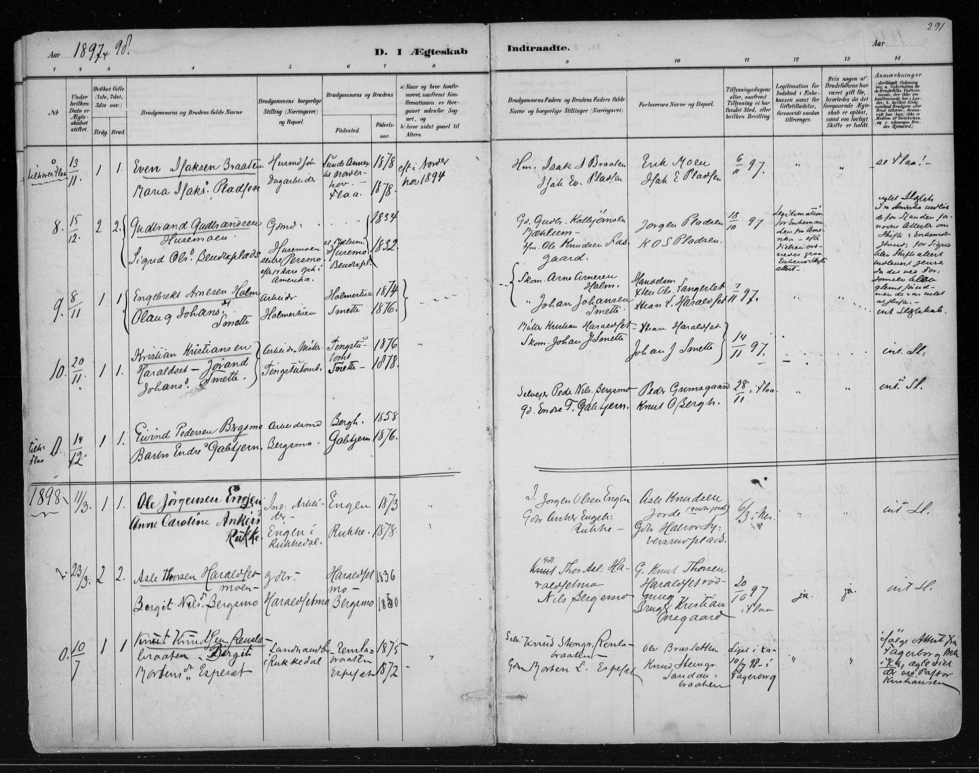 Nes kirkebøker, SAKO/A-236/F/Fa/L0011: Parish register (official) no. 11, 1881-1912, p. 291