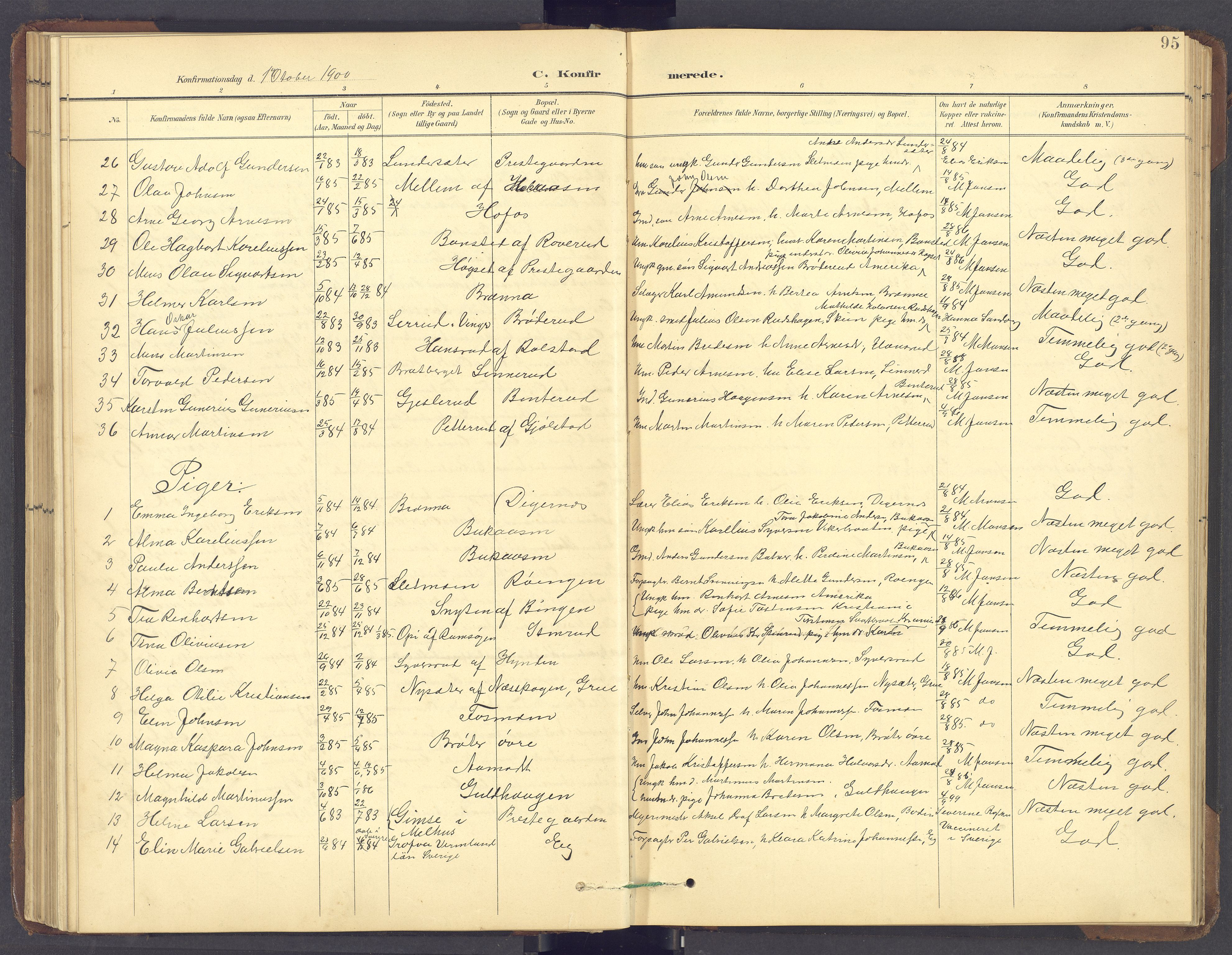 Brandval prestekontor, SAH/PREST-034/H/Ha/Hab/L0002: Parish register (copy) no. 2, 1895-1904, p. 95