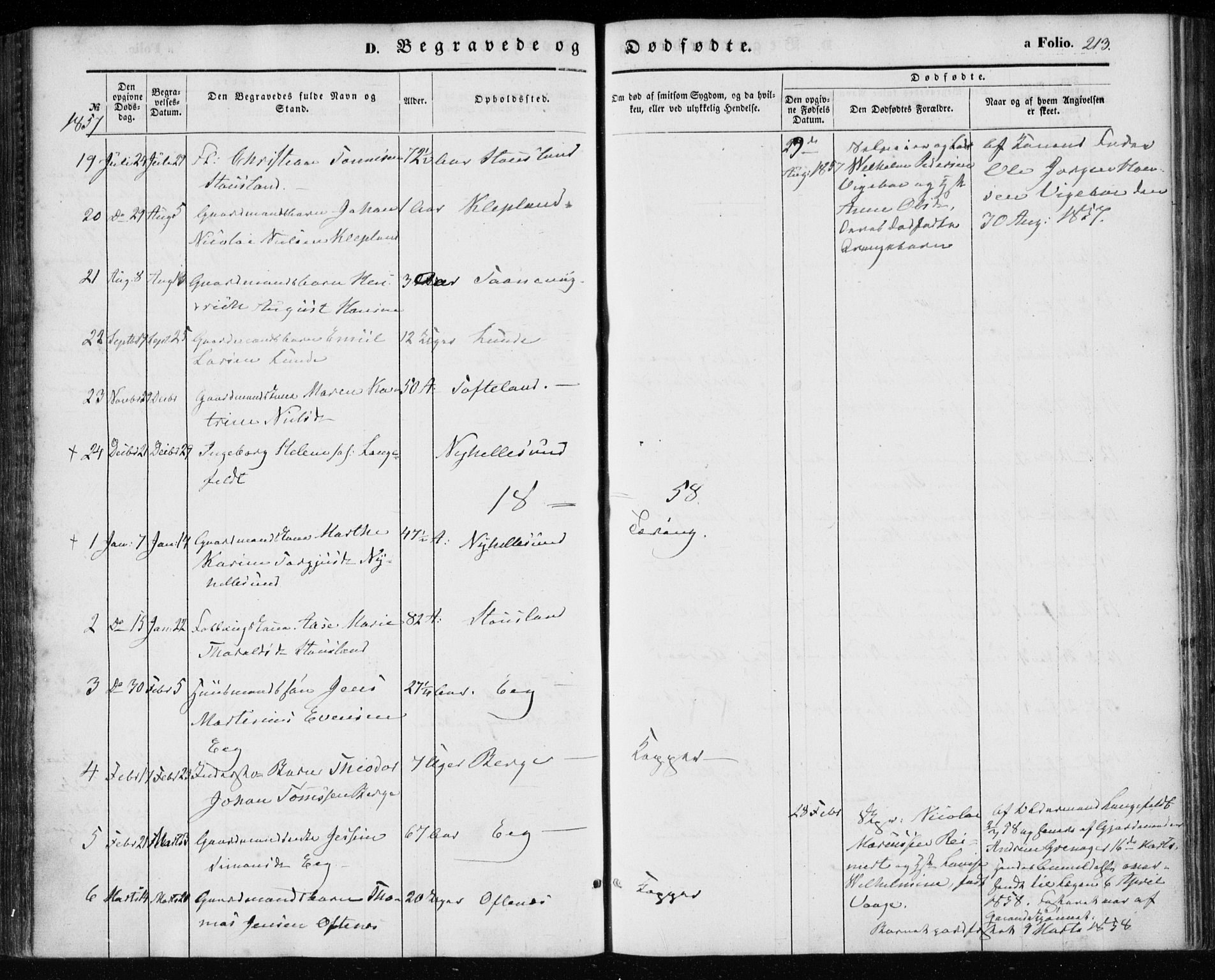 Søgne sokneprestkontor, AV/SAK-1111-0037/F/Fa/Fab/L0010: Parish register (official) no. A 10, 1853-1869, p. 213