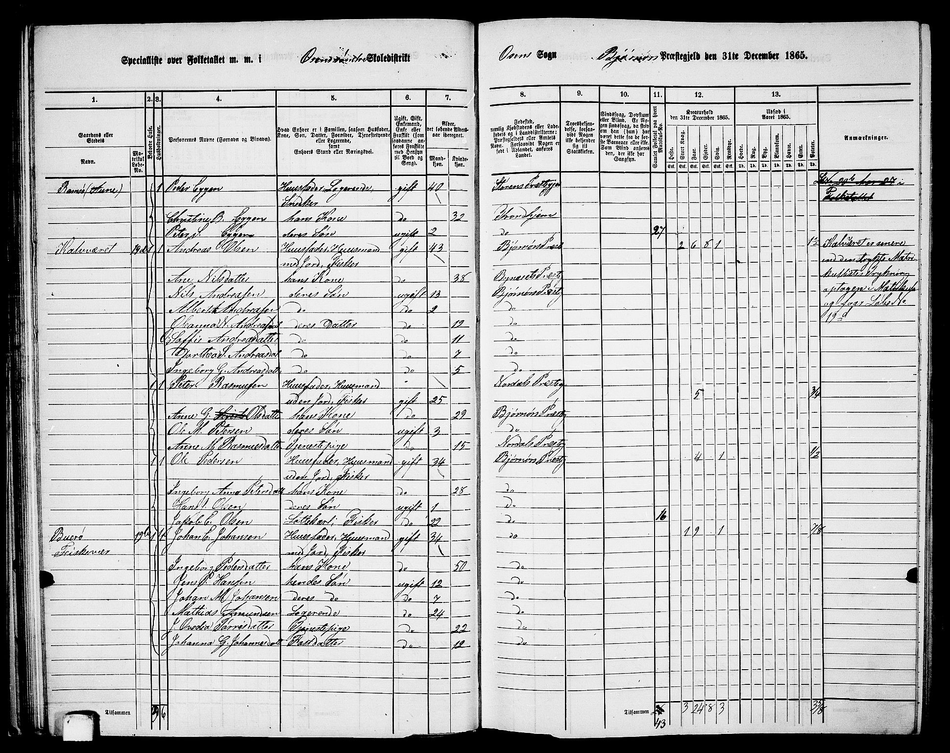 RA, 1865 census for Bjørnør, 1865, p. 46