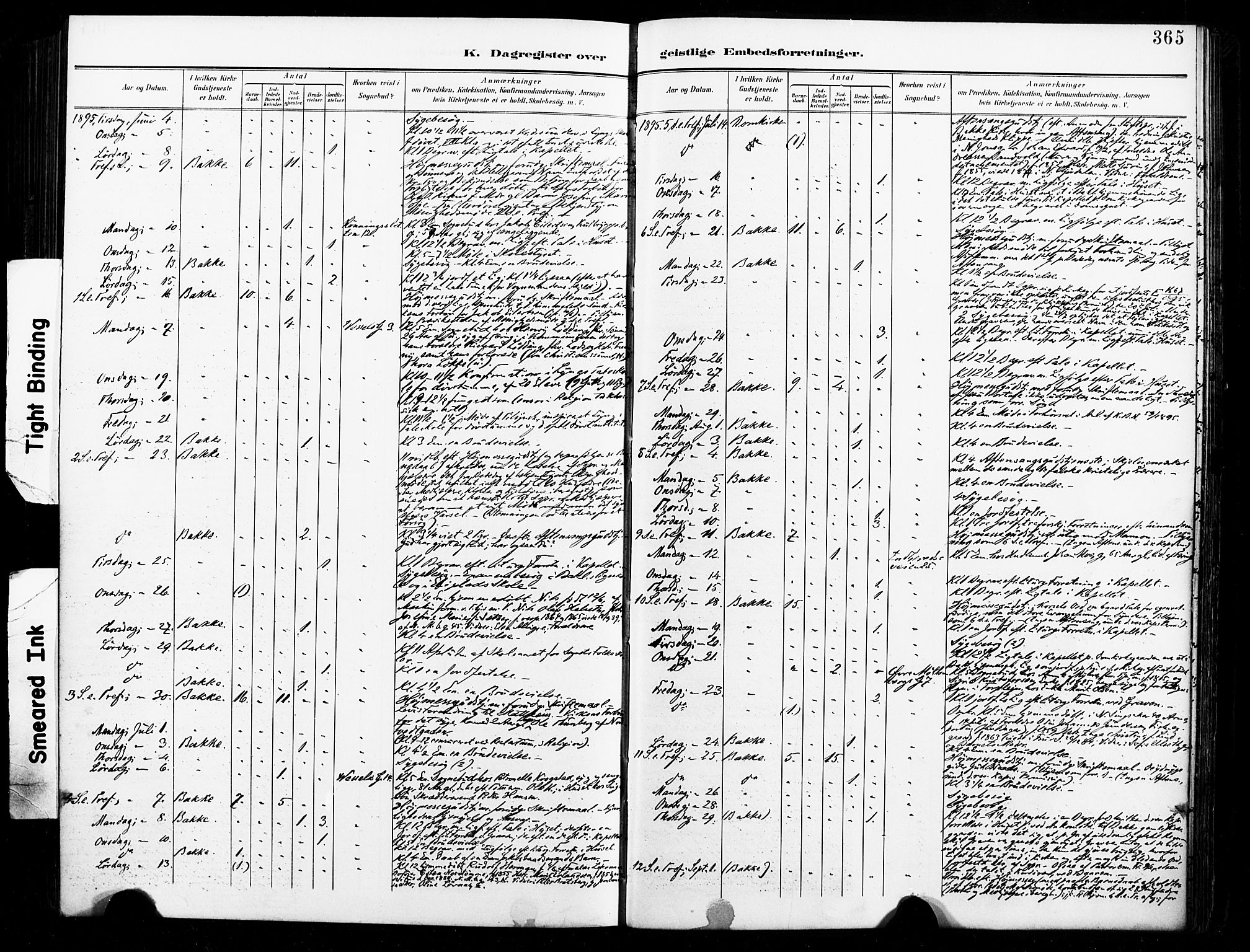 Ministerialprotokoller, klokkerbøker og fødselsregistre - Sør-Trøndelag, AV/SAT-A-1456/604/L0198: Parish register (official) no. 604A19, 1893-1900, p. 365