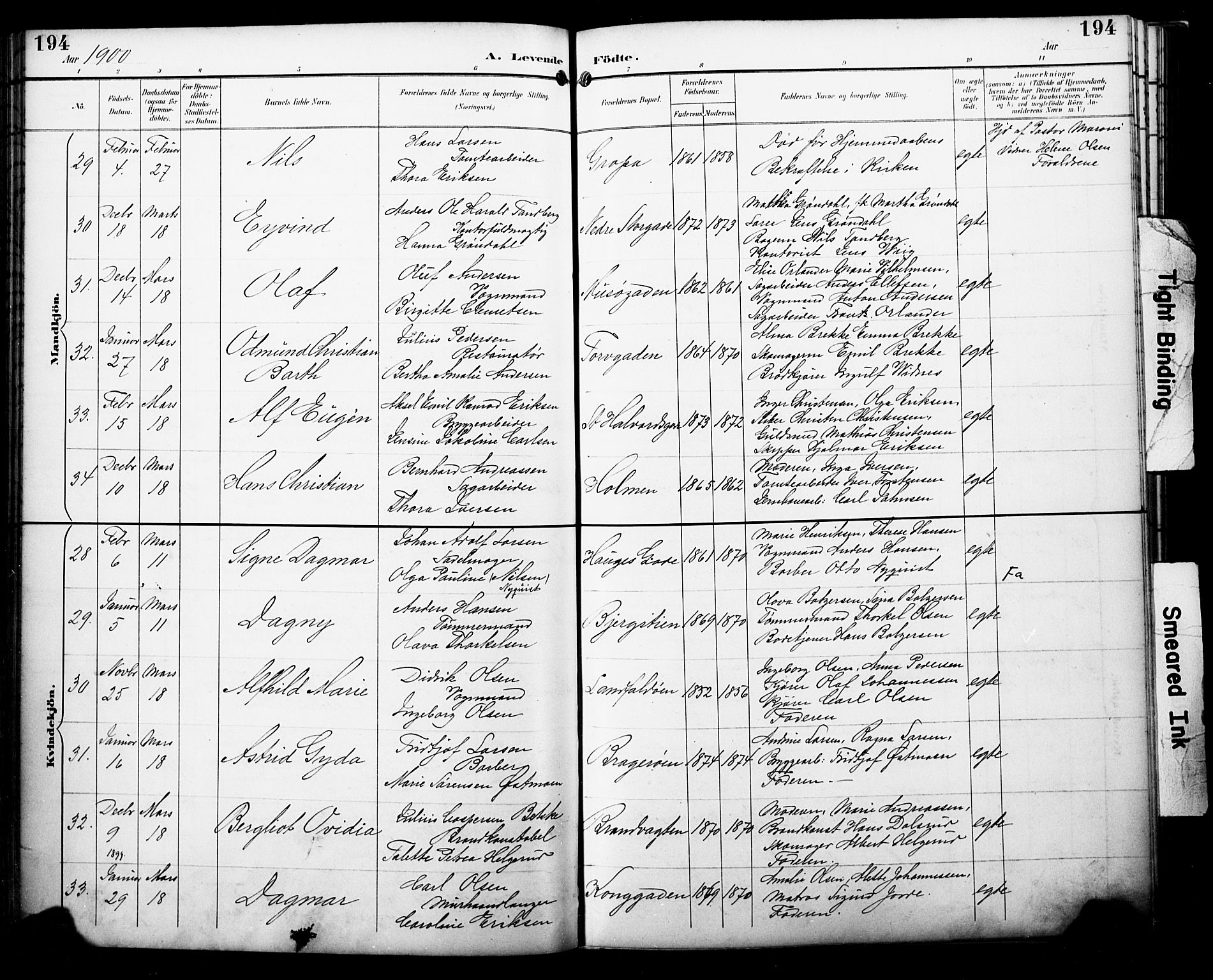 Bragernes kirkebøker, AV/SAKO-A-6/F/Fb/L0008: Parish register (official) no. II 8, 1894-1902, p. 194