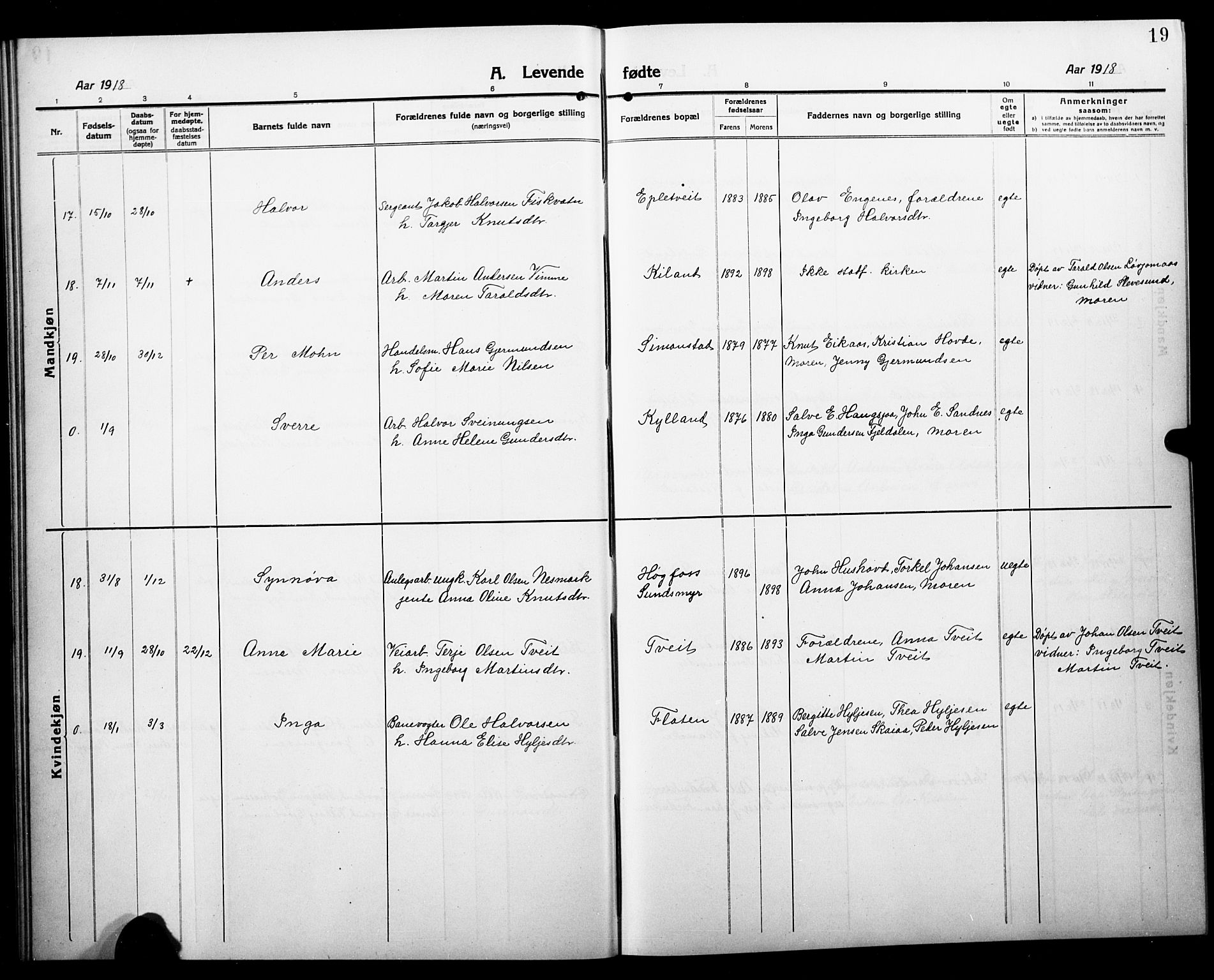 Åmli sokneprestkontor, AV/SAK-1111-0050/F/Fb/Fbc/L0006: Parish register (copy) no. B 6, 1915-1929, p. 19