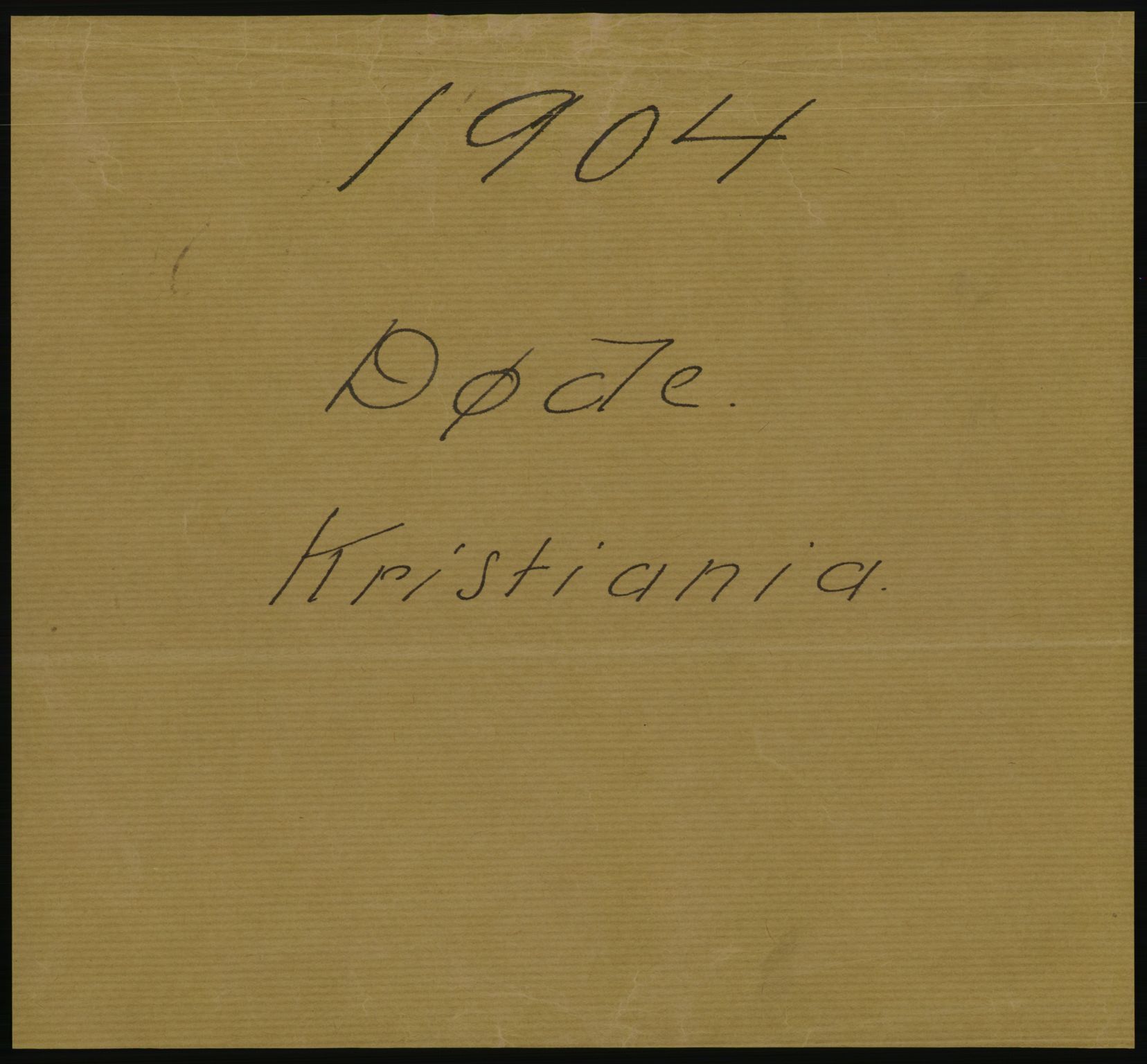 Statistisk sentralbyrå, Sosiodemografiske emner, Befolkning, AV/RA-S-2228/D/Df/Dfa/Dfab/L0004: Kristiania: Gifte, døde, 1904, p. 263