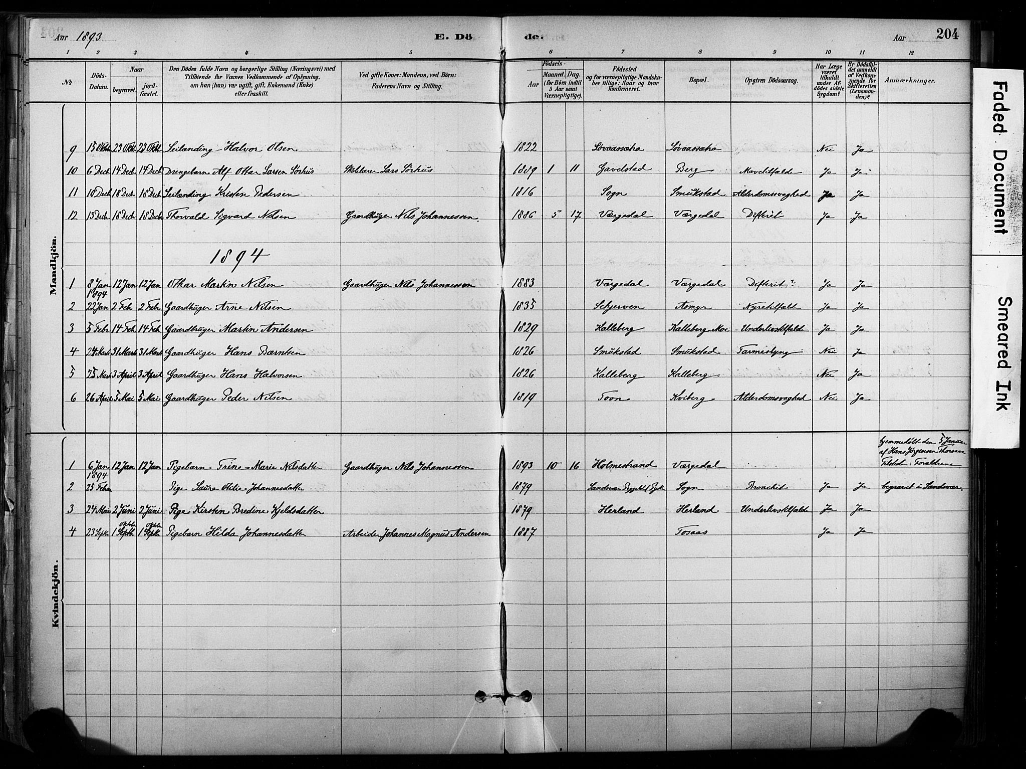 Lardal kirkebøker, AV/SAKO-A-350/F/Fb/L0001: Parish register (official) no. II 1, 1881-1911, p. 204