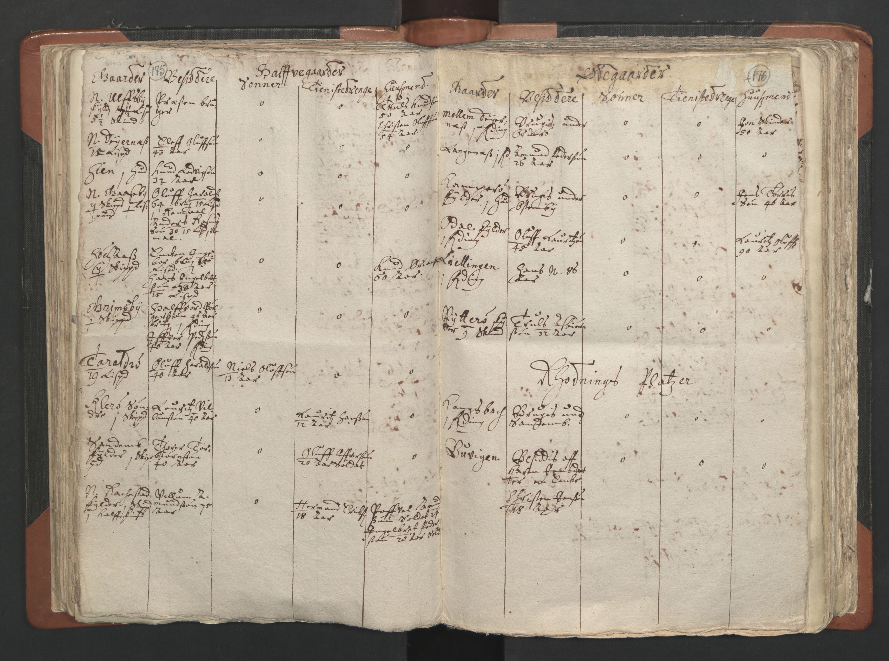 RA, Vicar's Census 1664-1666, no. 2: Øvre Borgesyssel deanery, 1664-1666, p. 175-176