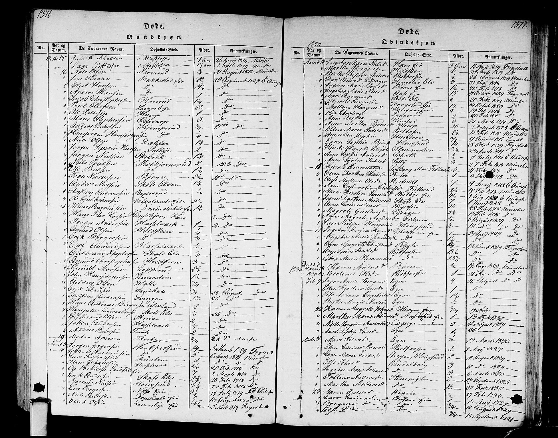Eiker kirkebøker, SAKO/A-4/F/Fa/L0010: Parish register (official) no. I 10, 1806-1815, p. 1376-1377