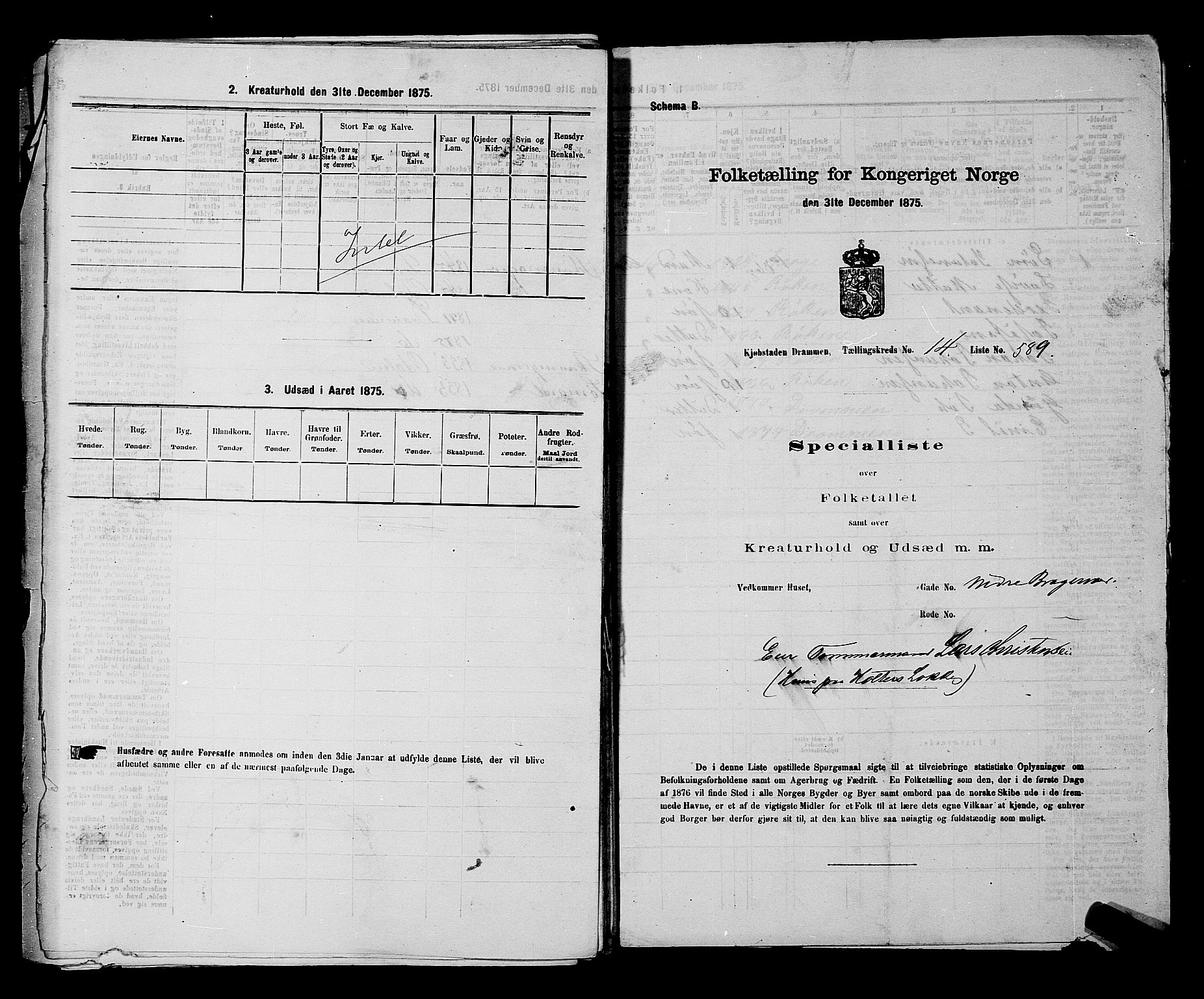 SAKO, 1875 census for 0602 Drammen, 1875, p. 1620