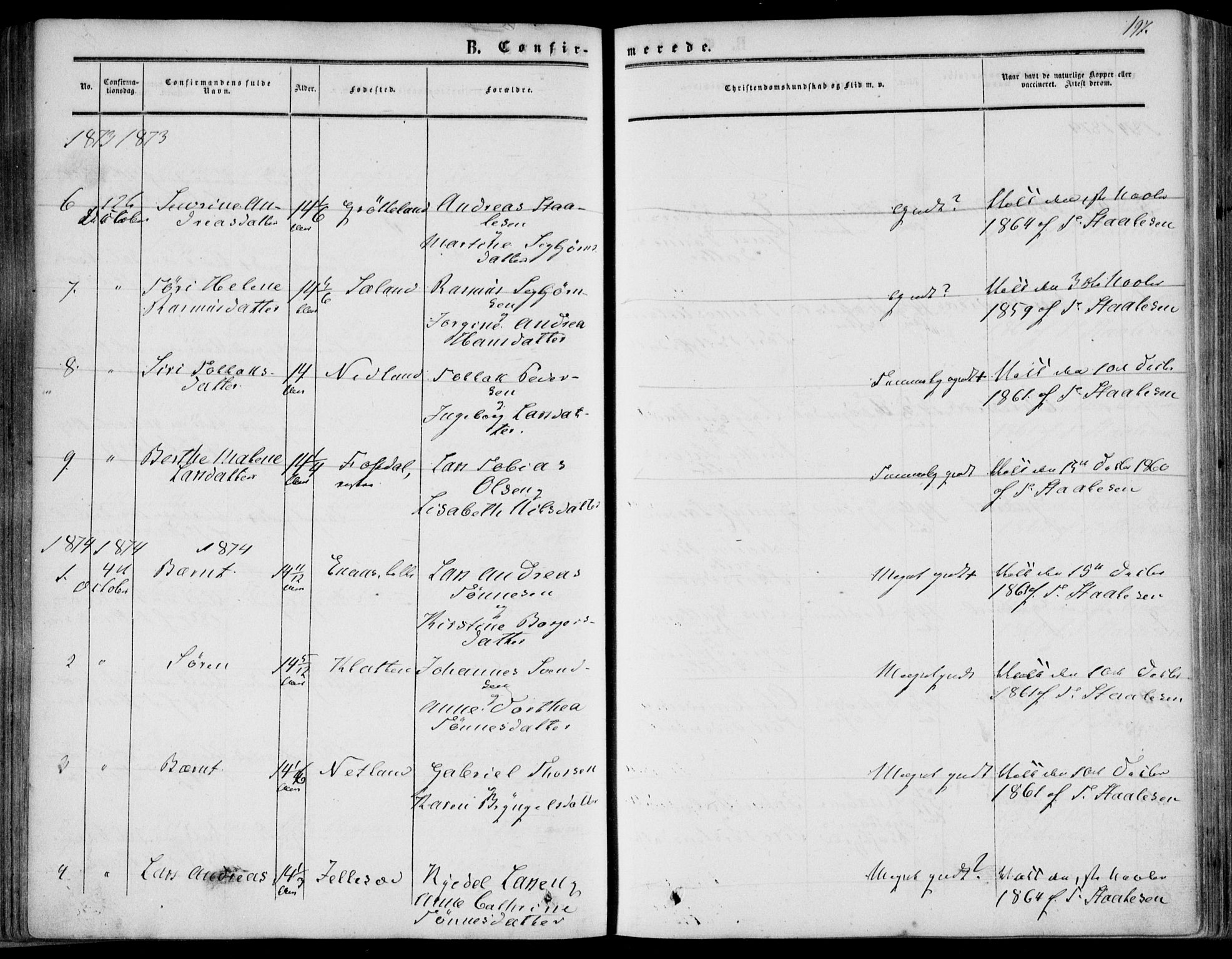 Bakke sokneprestkontor, SAK/1111-0002/F/Fa/Fab/L0002: Parish register (official) no. A 2, 1855-1884, p. 197
