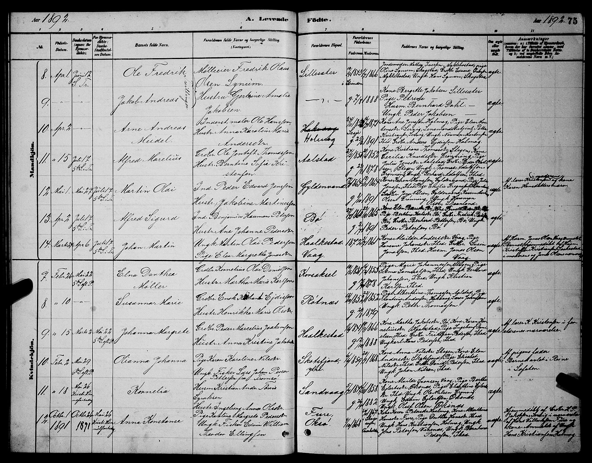 Ministerialprotokoller, klokkerbøker og fødselsregistre - Nordland, AV/SAT-A-1459/855/L0816: Parish register (copy) no. 855C05, 1879-1894, p. 75