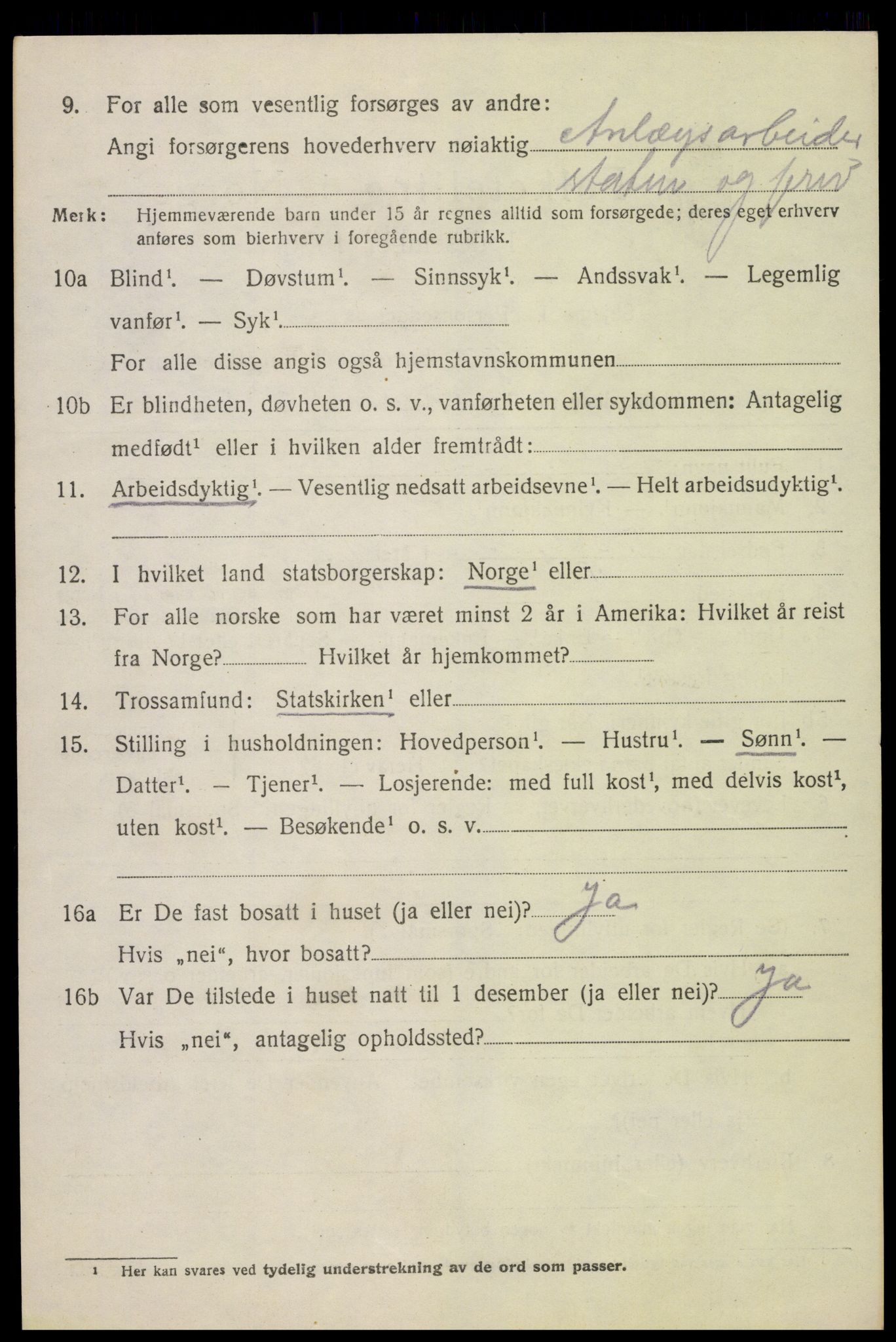 SAH, 1920 census for Biri, 1920, p. 2046