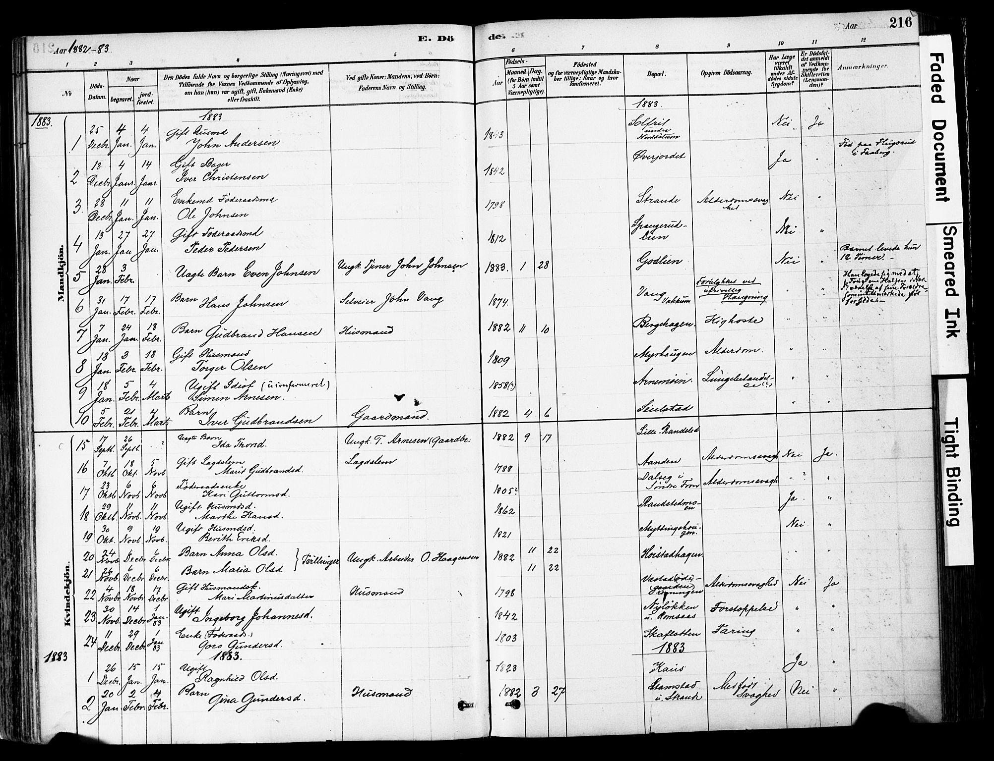 Ringebu prestekontor, SAH/PREST-082/H/Ha/Haa/L0008: Parish register (official) no. 8, 1878-1898, p. 216
