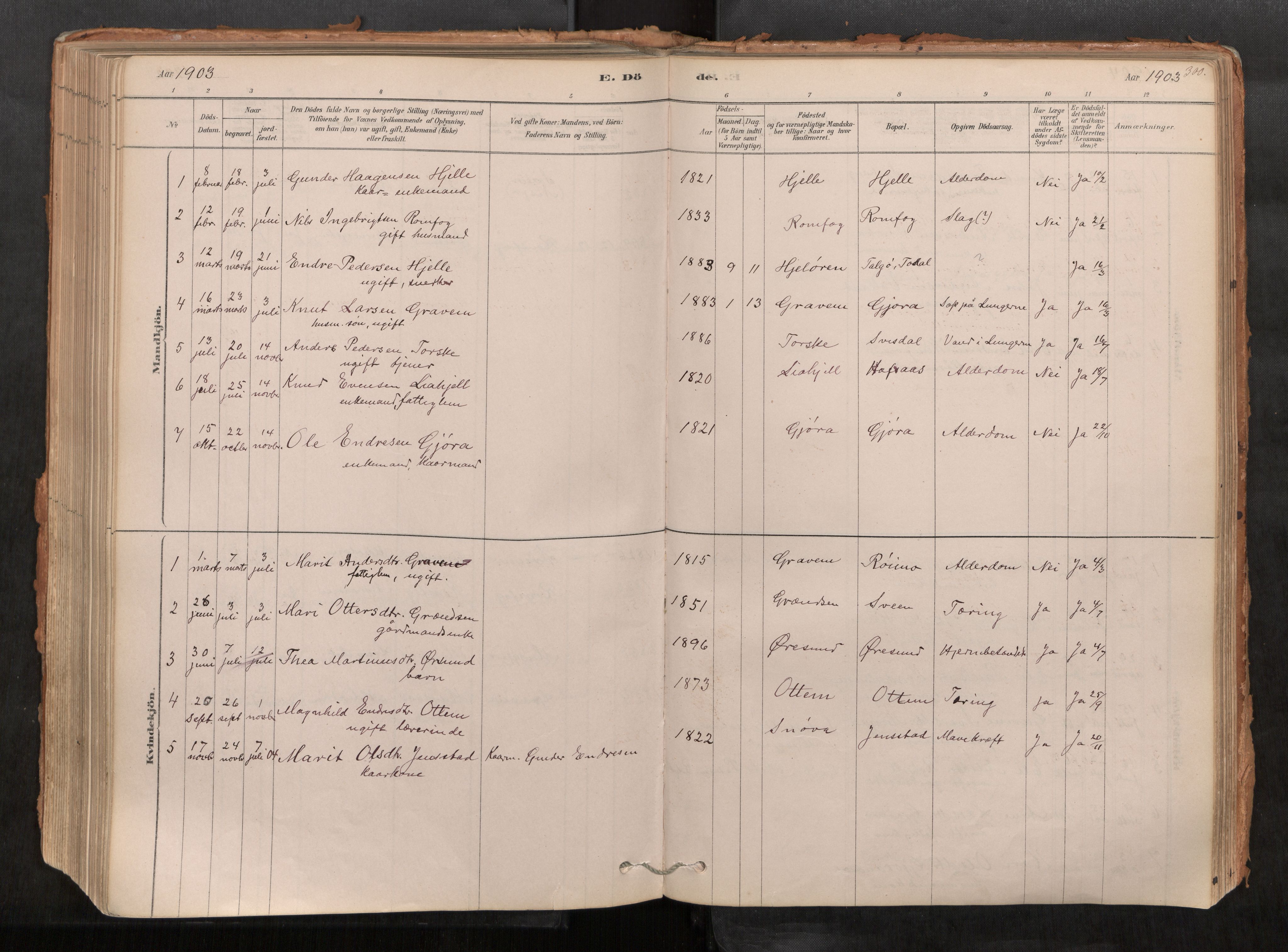 Sunndal sokneprestkontor, AV/SAT-A-1085/1/I/I1/I1a/L0001: Parish register (official) no. 1, 1877-1914, p. 300