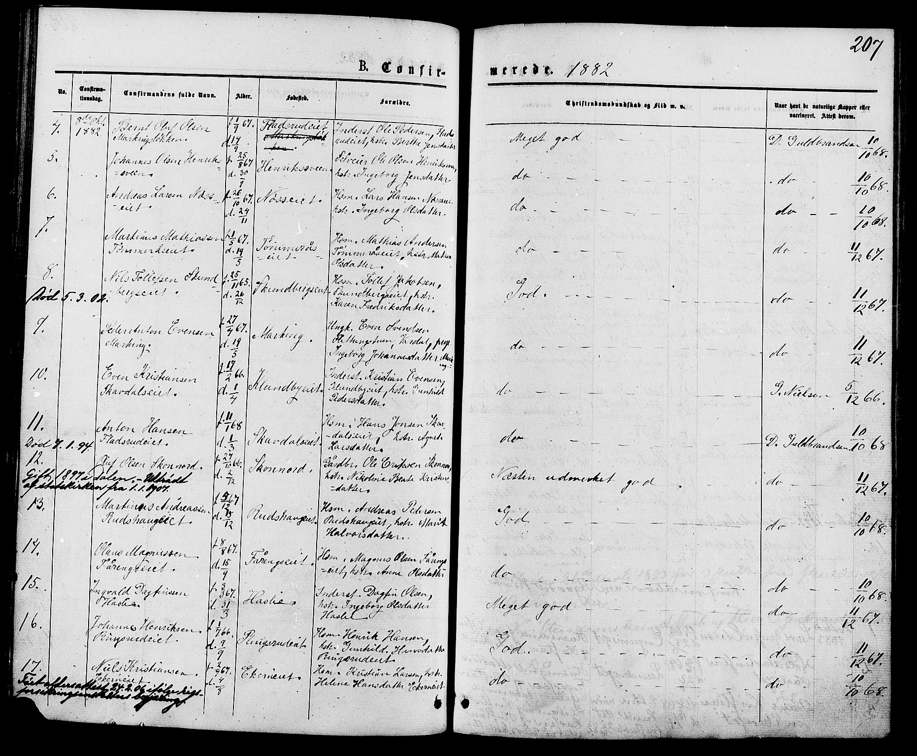 Biri prestekontor, SAH/PREST-096/H/Ha/Haa/L0006: Parish register (official) no. 6, 1877-1886, p. 207
