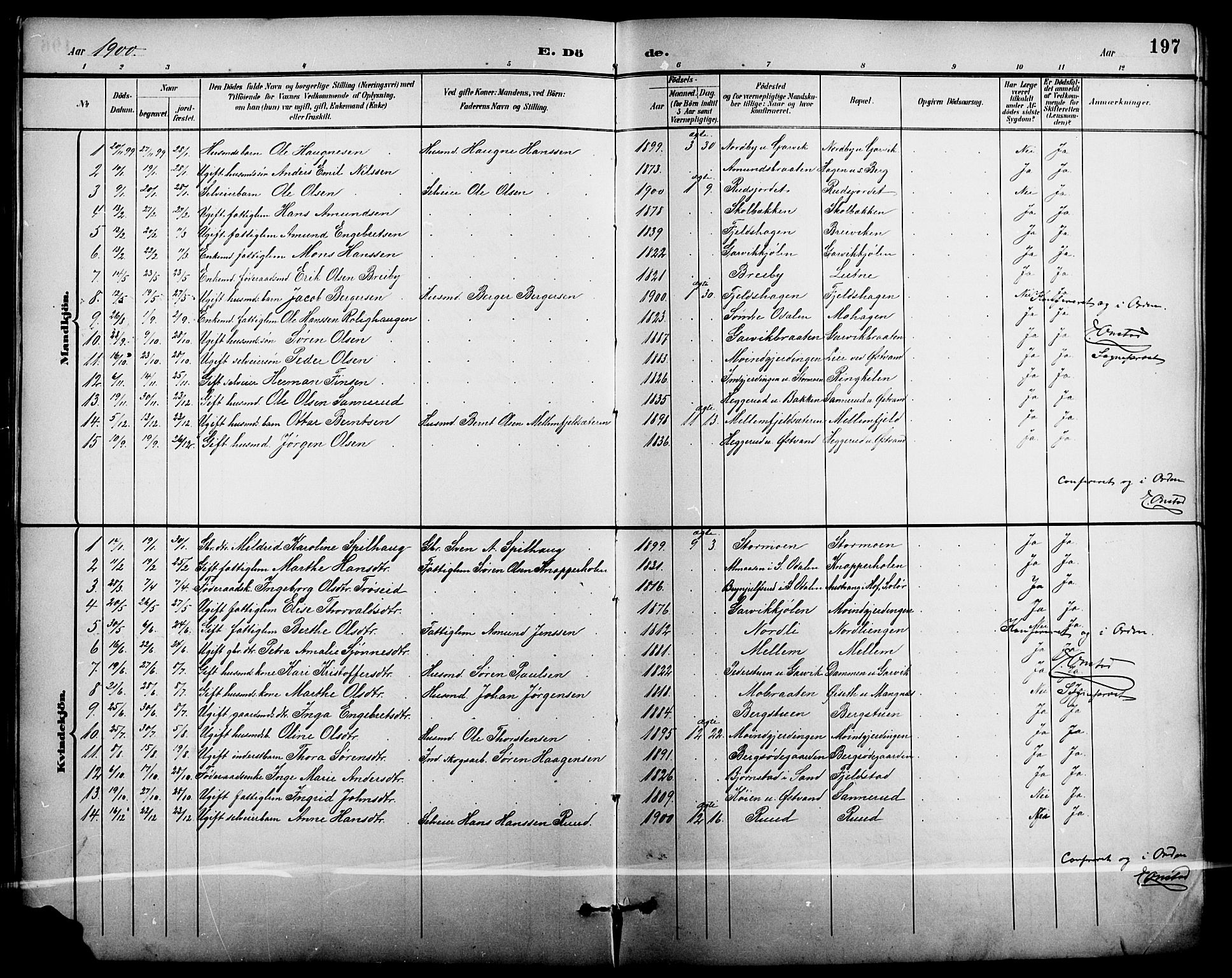 Nord-Odal prestekontor, AV/SAH-PREST-032/H/Ha/Hab/L0002: Parish register (copy) no. 2, 1895-1921, p. 197