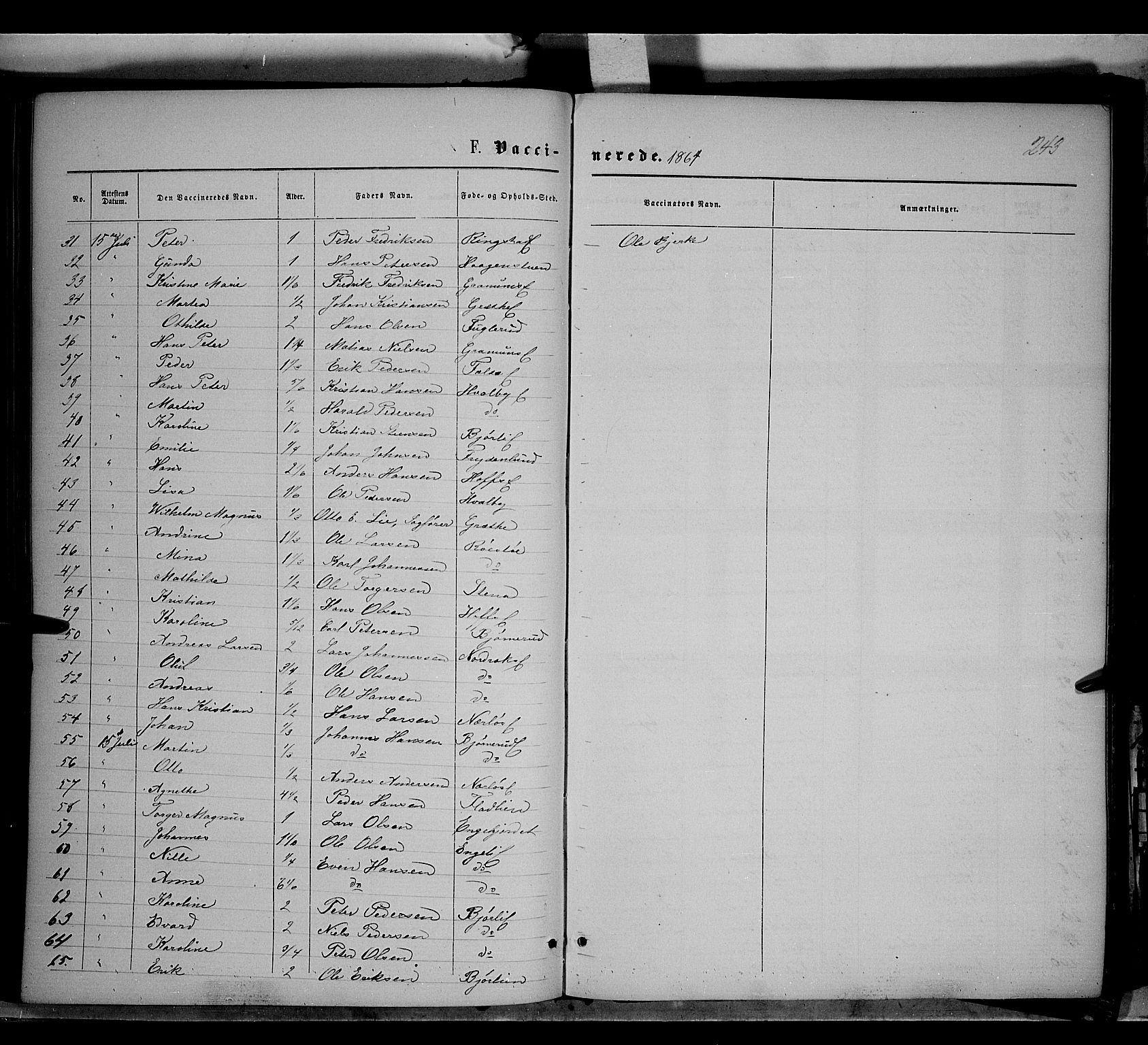 Søndre Land prestekontor, AV/SAH-PREST-122/K/L0001: Parish register (official) no. 1, 1860-1877, p. 243