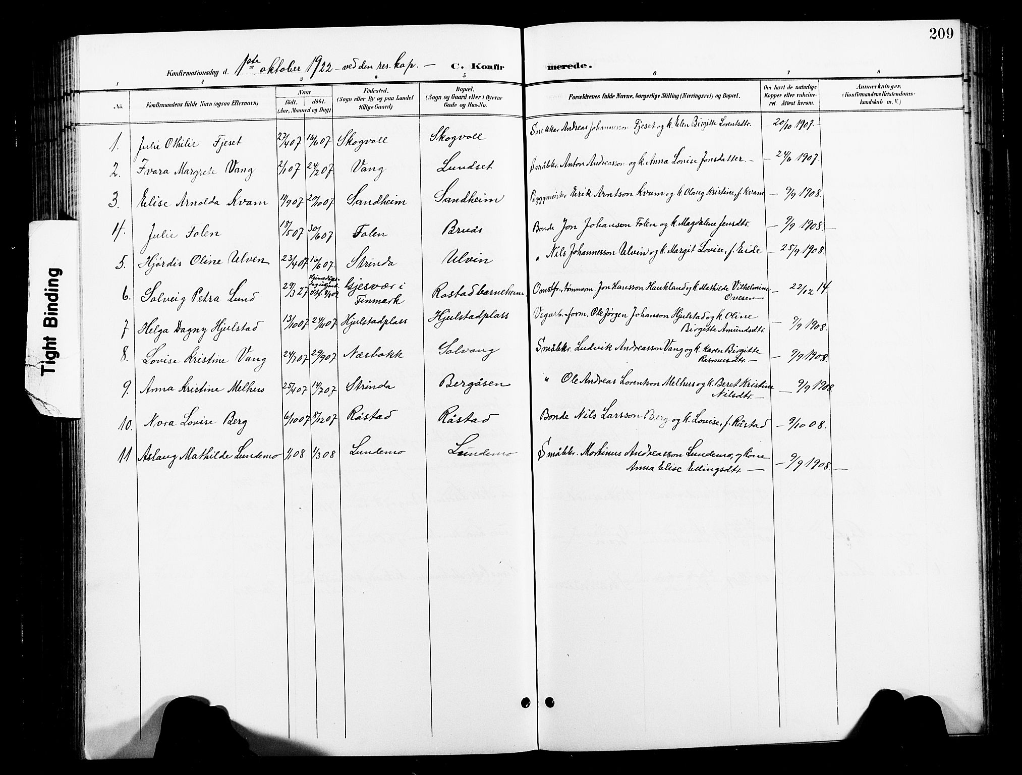 Ministerialprotokoller, klokkerbøker og fødselsregistre - Nord-Trøndelag, SAT/A-1458/730/L0302: Parish register (copy) no. 730C05, 1898-1924, p. 209
