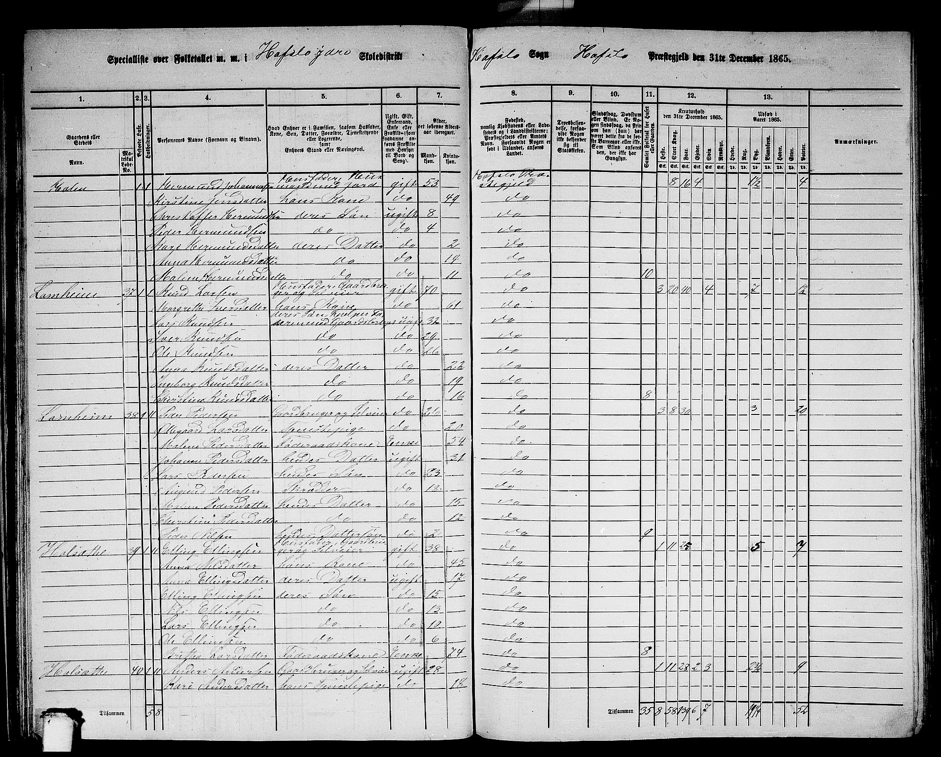 RA, 1865 census for Hafslo, 1865, p. 35