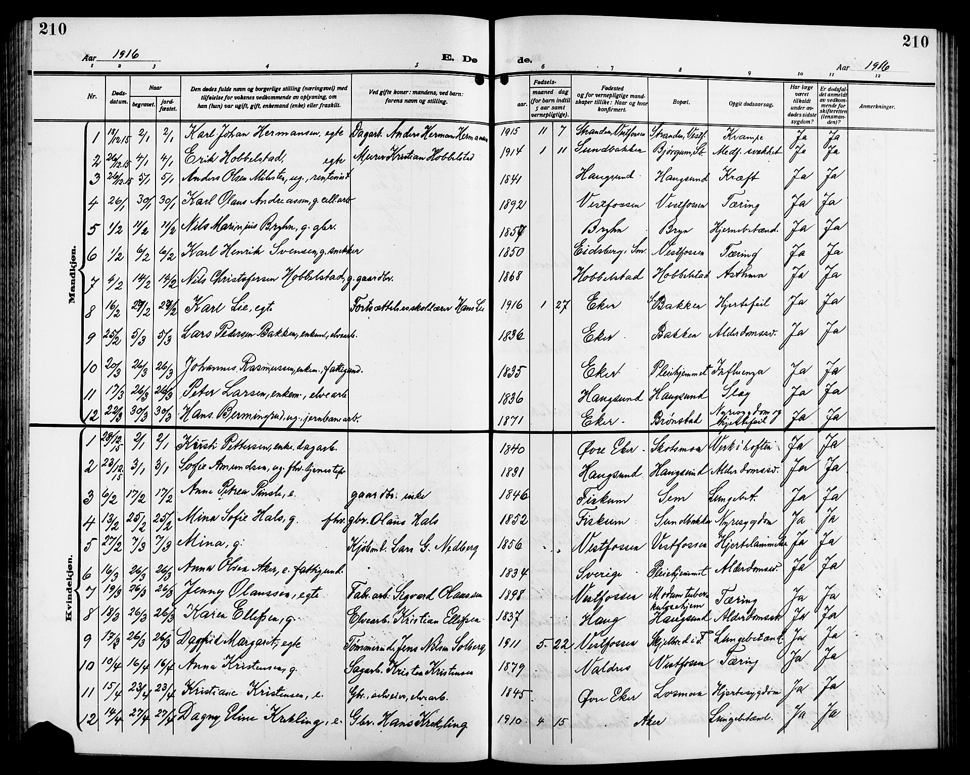 Eiker kirkebøker, SAKO/A-4/G/Ga/L0009: Parish register (copy) no. I 9, 1915-1924, p. 210