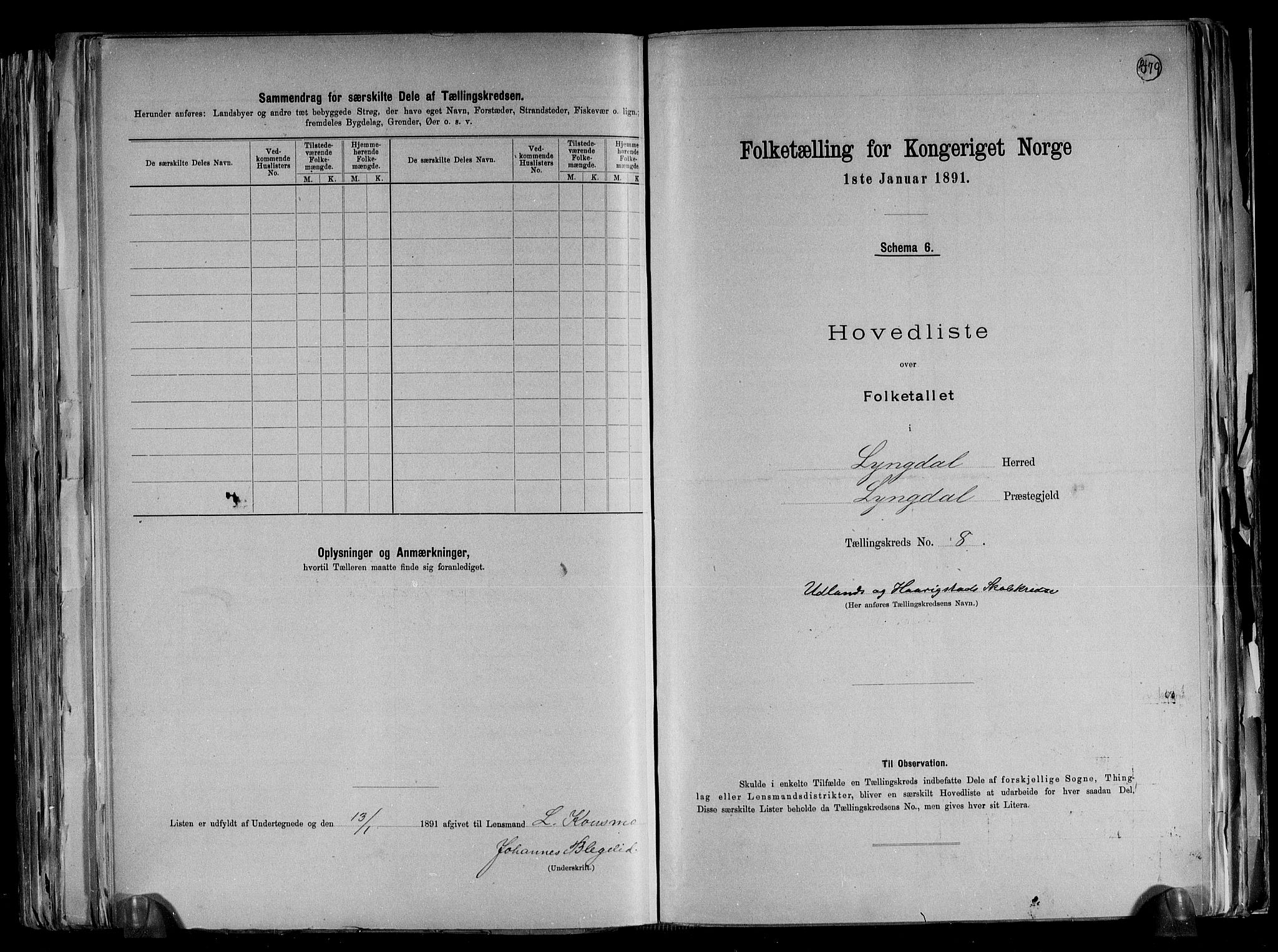 RA, 1891 census for 1032 Lyngdal, 1891, p. 21