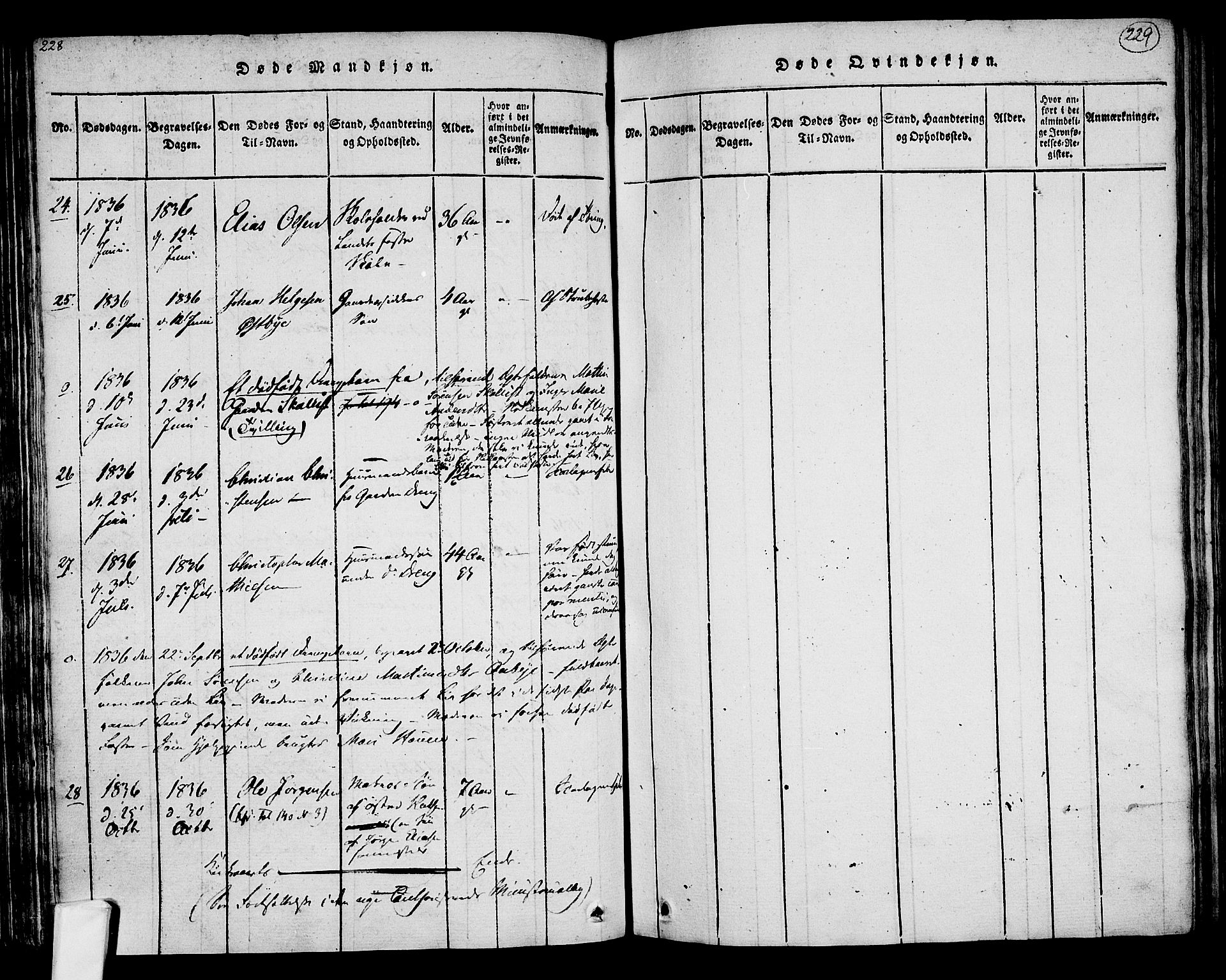 Tjølling kirkebøker, AV/SAKO-A-60/F/Fa/L0005: Parish register (official) no. 5, 1814-1836, p. 228-229