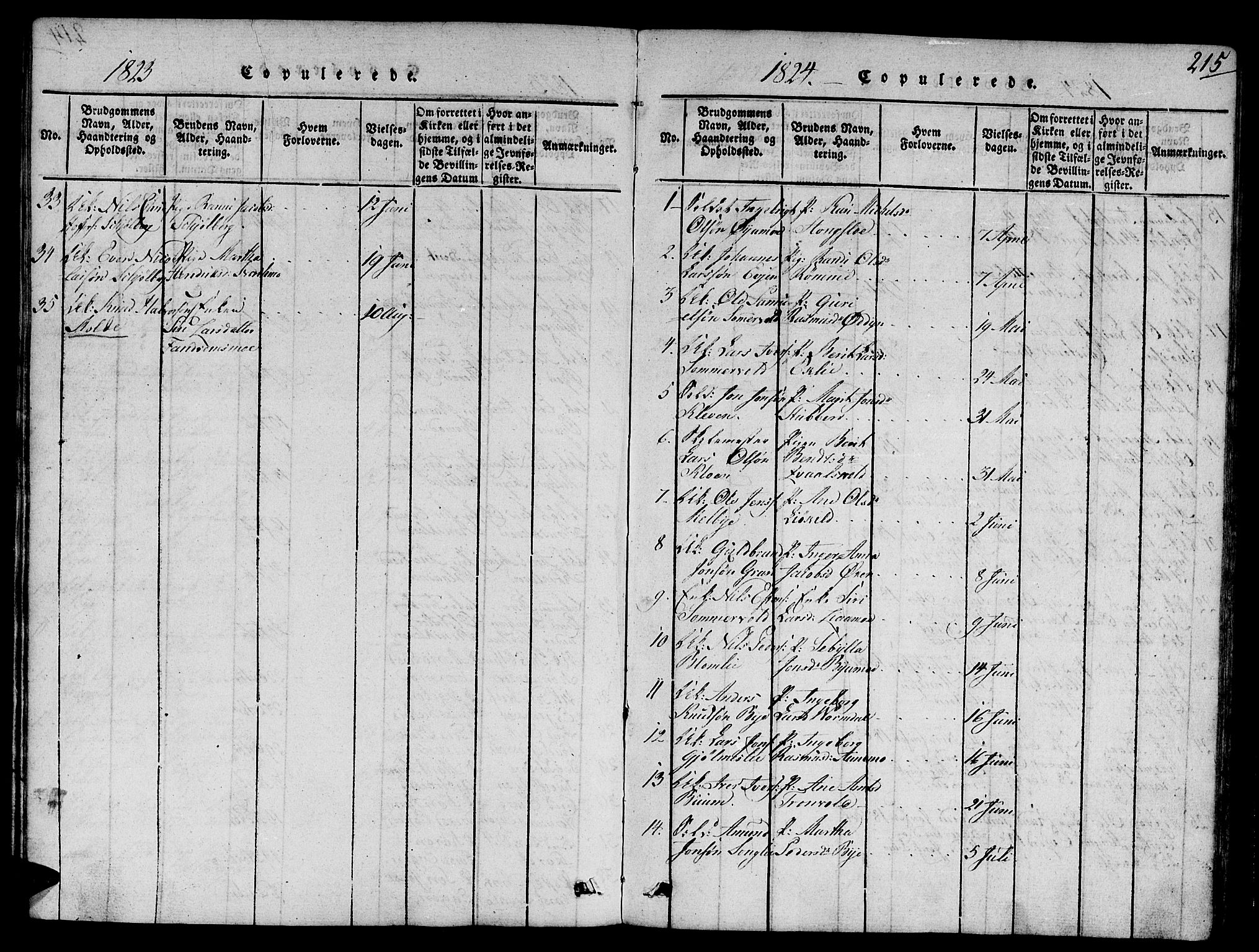 Ministerialprotokoller, klokkerbøker og fødselsregistre - Sør-Trøndelag, SAT/A-1456/668/L0803: Parish register (official) no. 668A03, 1800-1826, p. 215