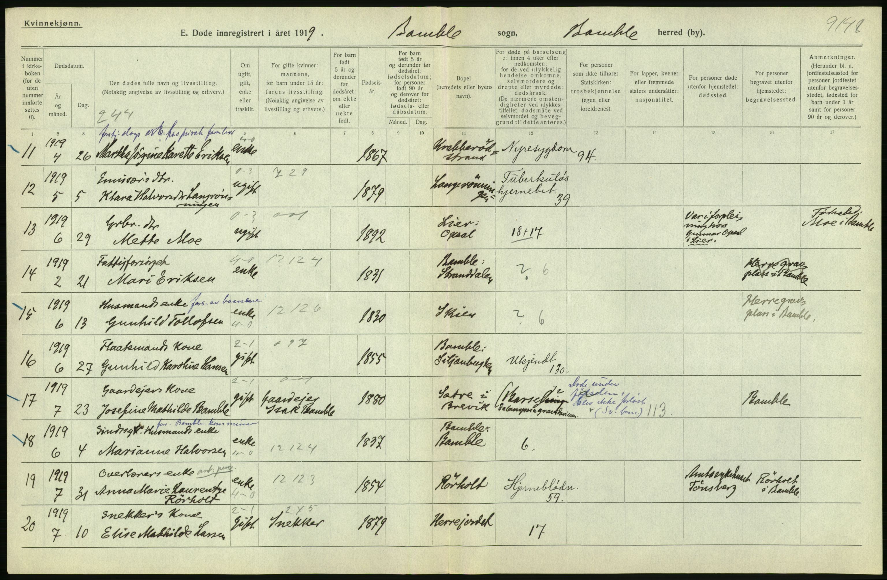 Statistisk sentralbyrå, Sosiodemografiske emner, Befolkning, RA/S-2228/D/Df/Dfb/Dfbi/L0023: Telemark fylke: Døde. Bygder og byer., 1919, p. 204