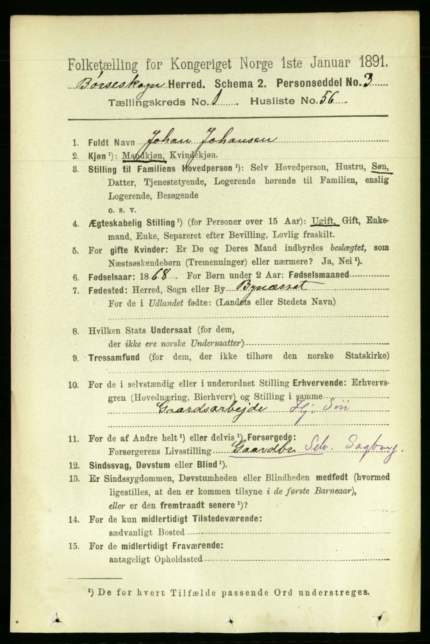 RA, 1891 census for 1657 Børseskogn, 1891, p. 466