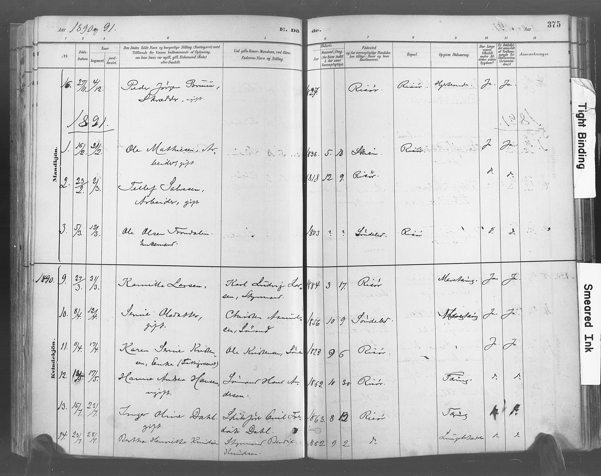 Risør sokneprestkontor, AV/SAK-1111-0035/F/Fa/L0005: Parish register (official) no. A 5, 1883-1895, p. 375