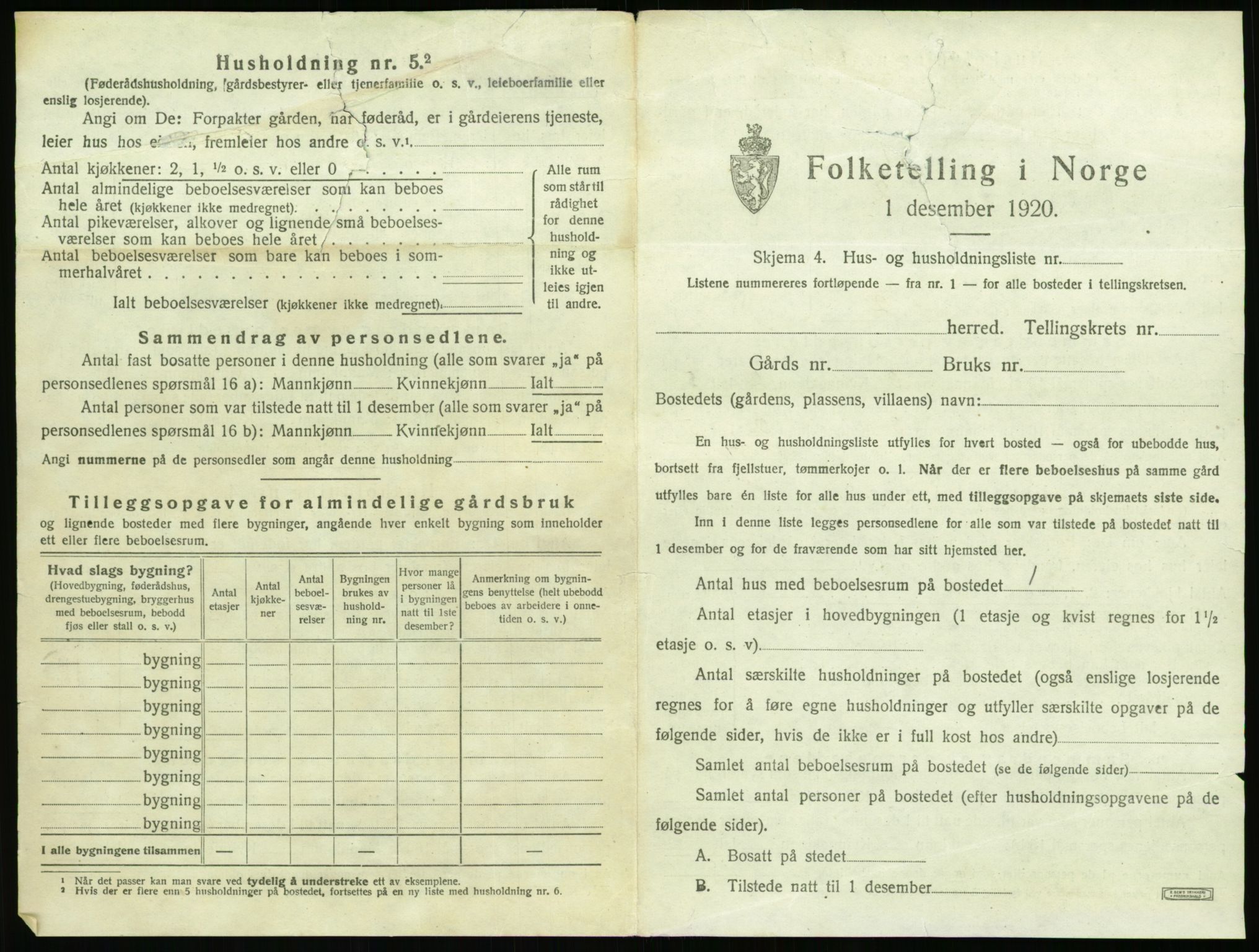 RA, 1920 census: Additional forms, 1920, p. 25