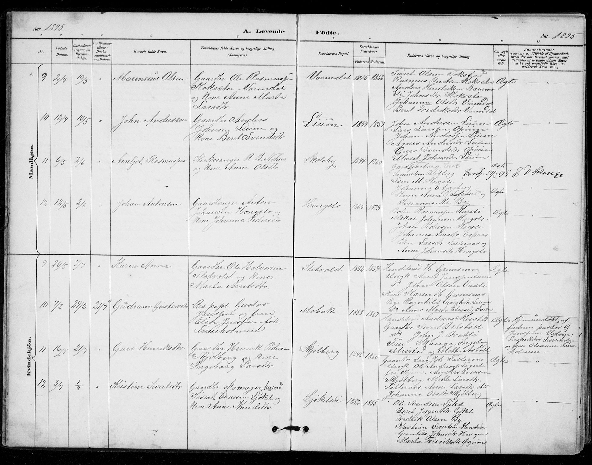 Ministerialprotokoller, klokkerbøker og fødselsregistre - Sør-Trøndelag, AV/SAT-A-1456/671/L0841: Parish register (official) no. 671A03, 1893-1915