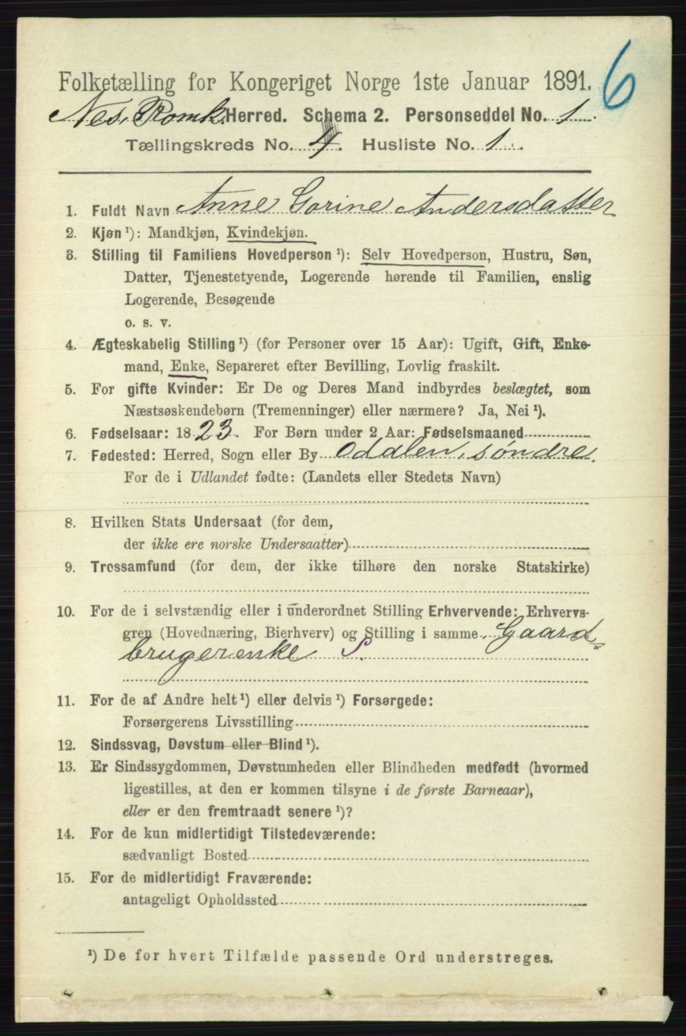 RA, 1891 census for 0236 Nes, 1891, p. 2264