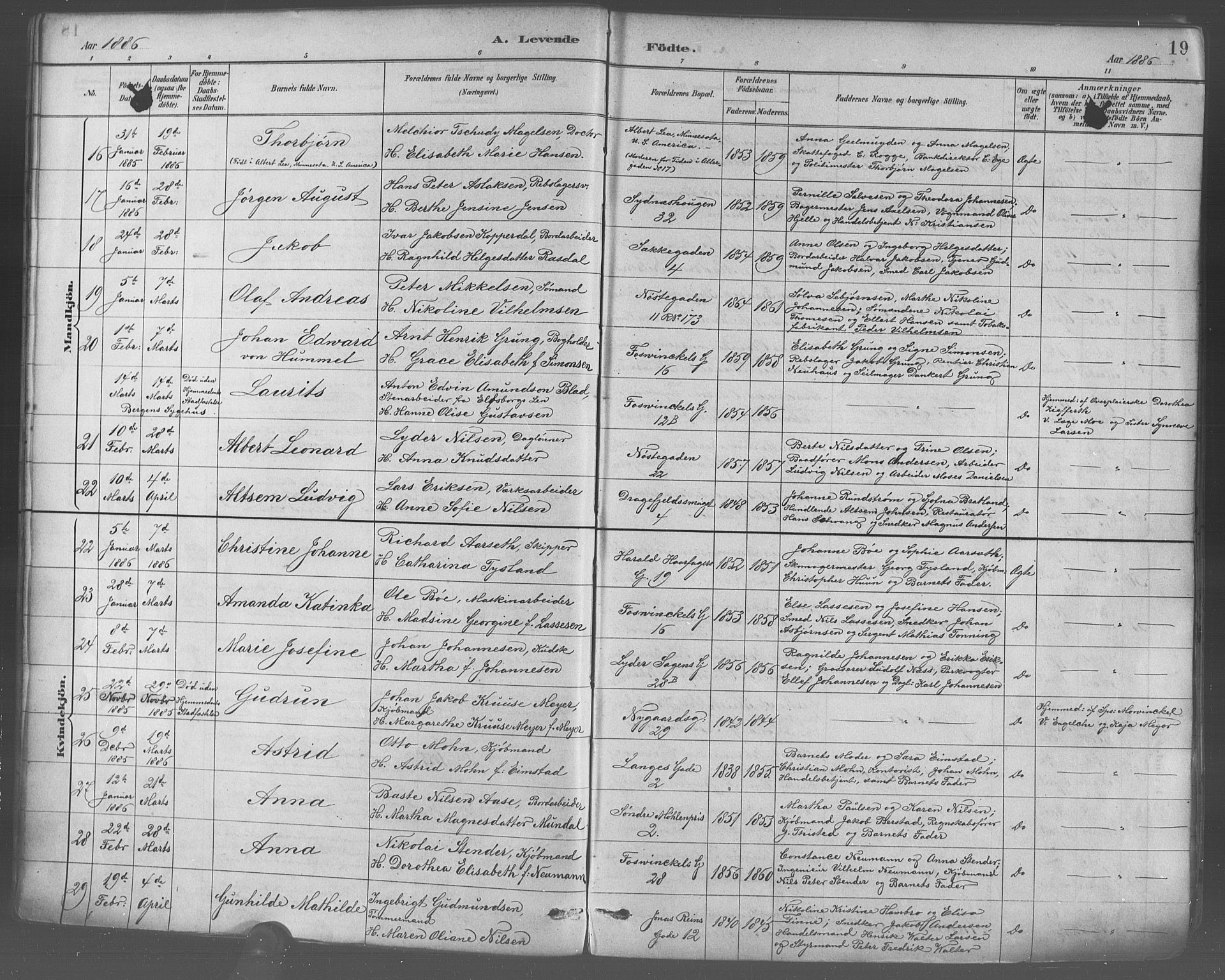 Johanneskirken sokneprestembete, AV/SAB-A-76001/H/Hab: Parish register (copy) no. A 1, 1885-1900, p. 19