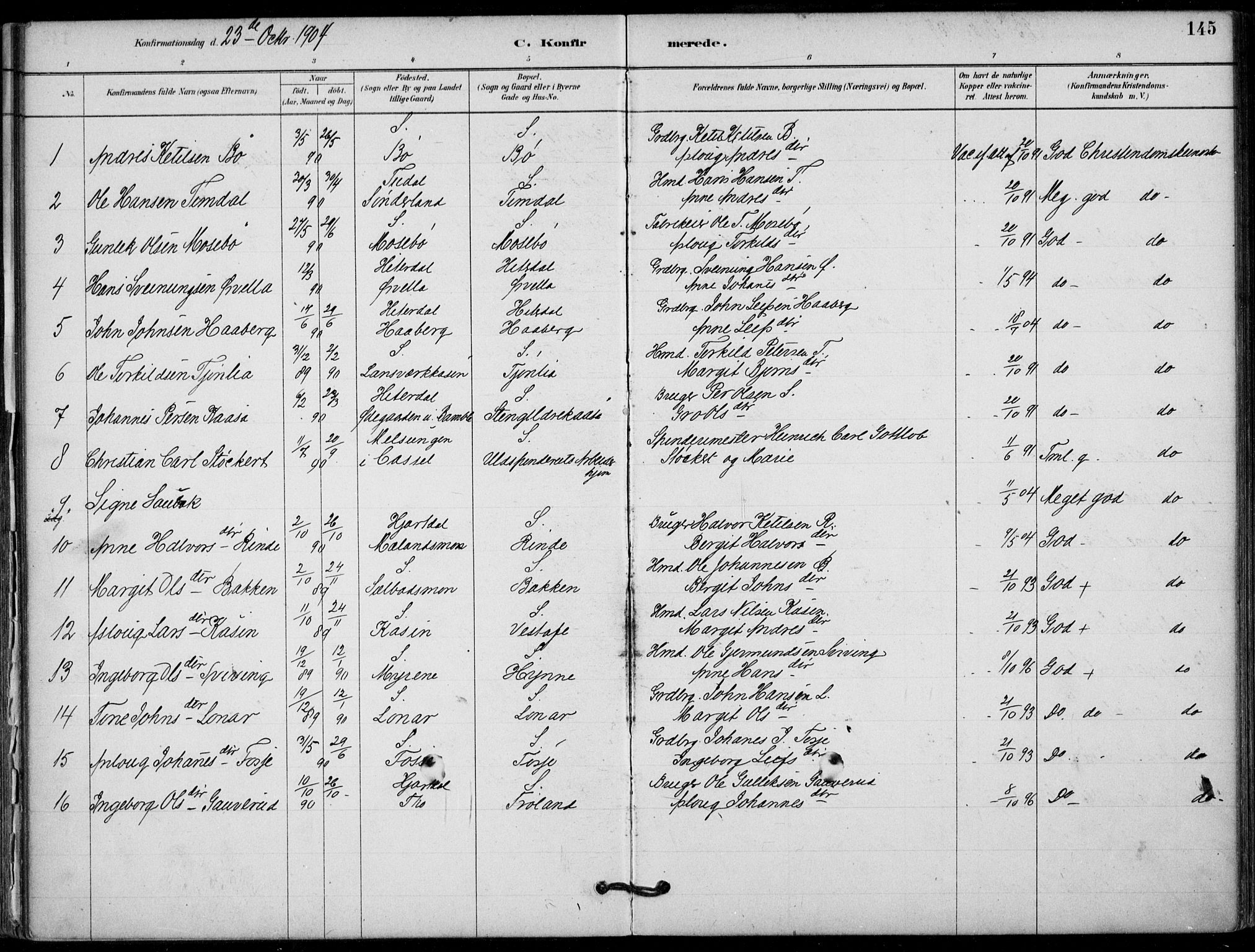 Hjartdal kirkebøker, SAKO/A-270/F/Fb/L0002: Parish register (official) no. II 2, 1880-1932, p. 145