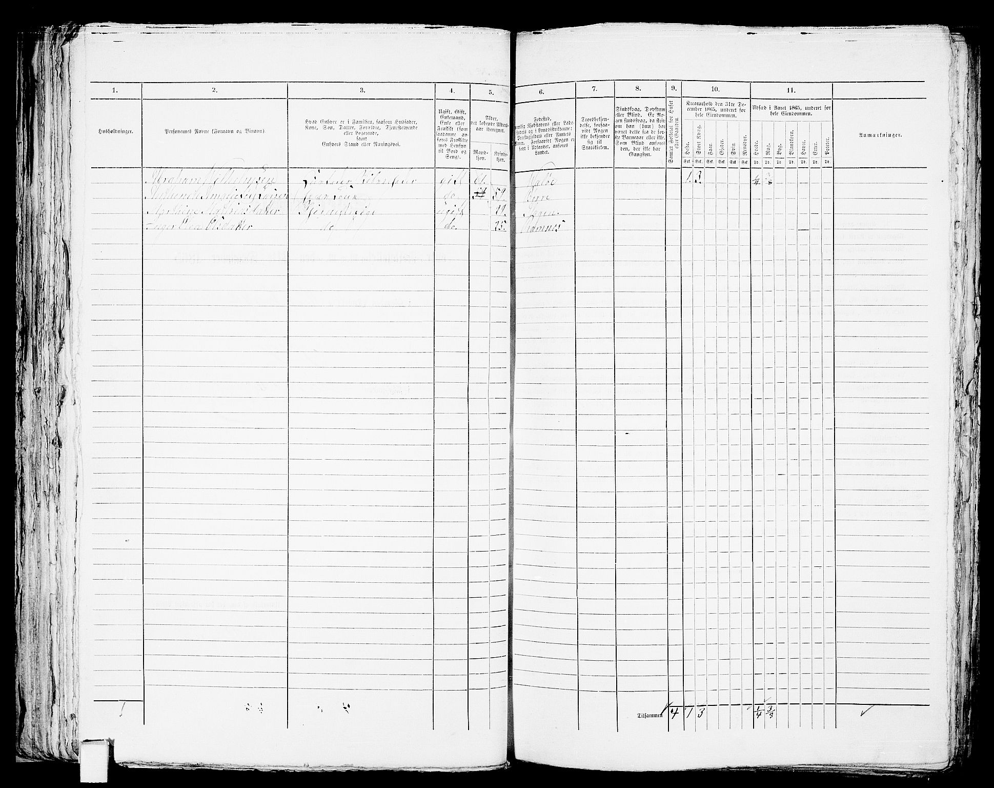 RA, 1865 census for Tønsberg, 1865, p. 135