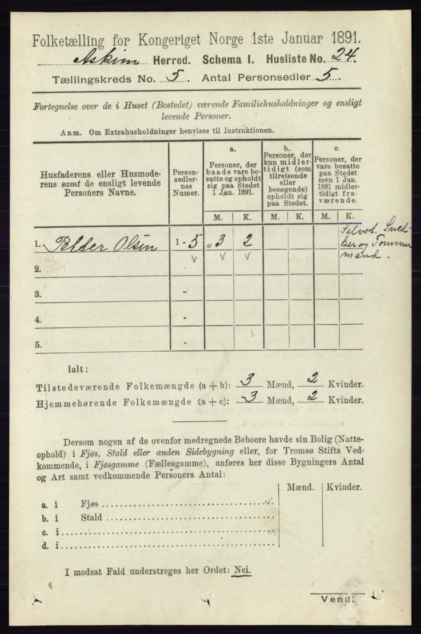 RA, 1891 census for 0124 Askim, 1891, p. 597