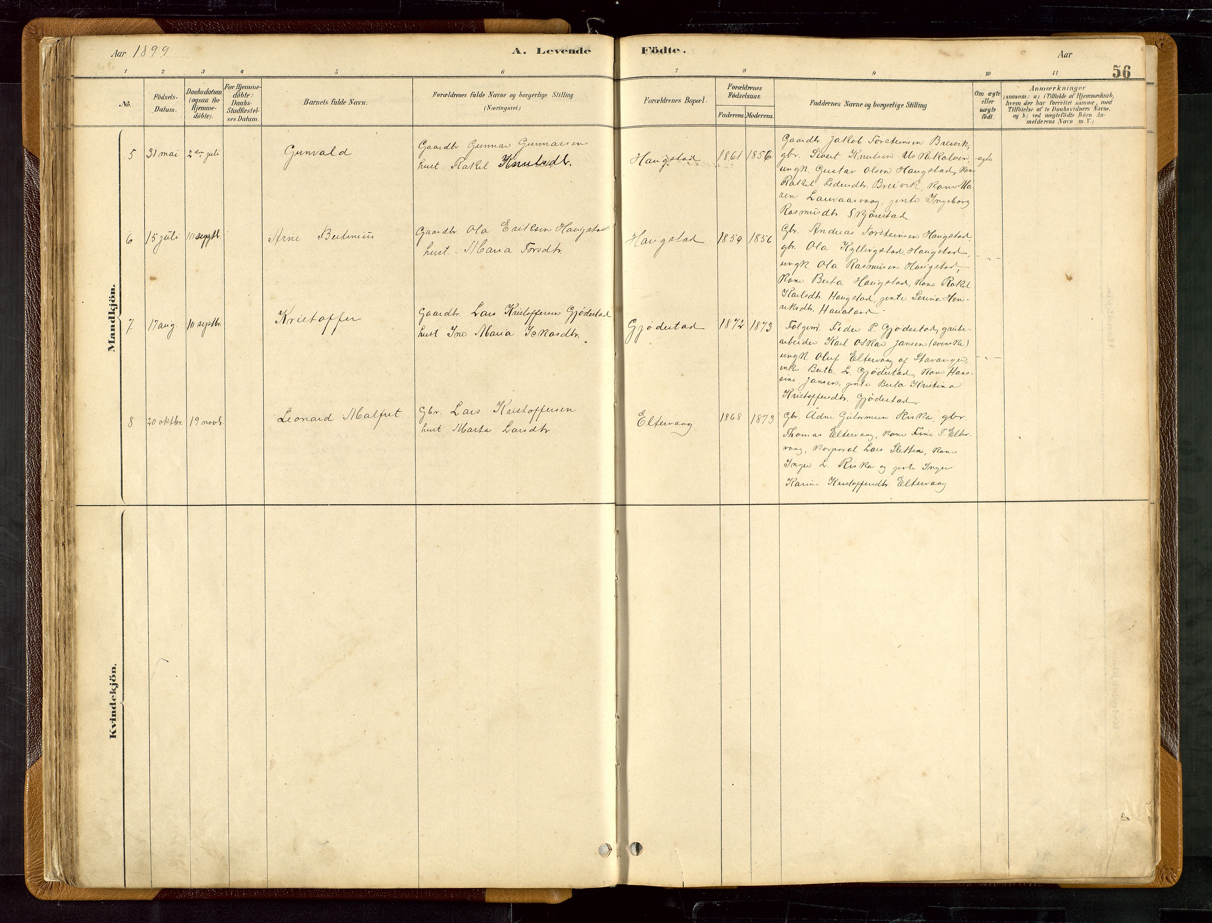 Hetland sokneprestkontor, AV/SAST-A-101826/30/30BB/L0007: Parish register (copy) no. B 7, 1878-1910, p. 56