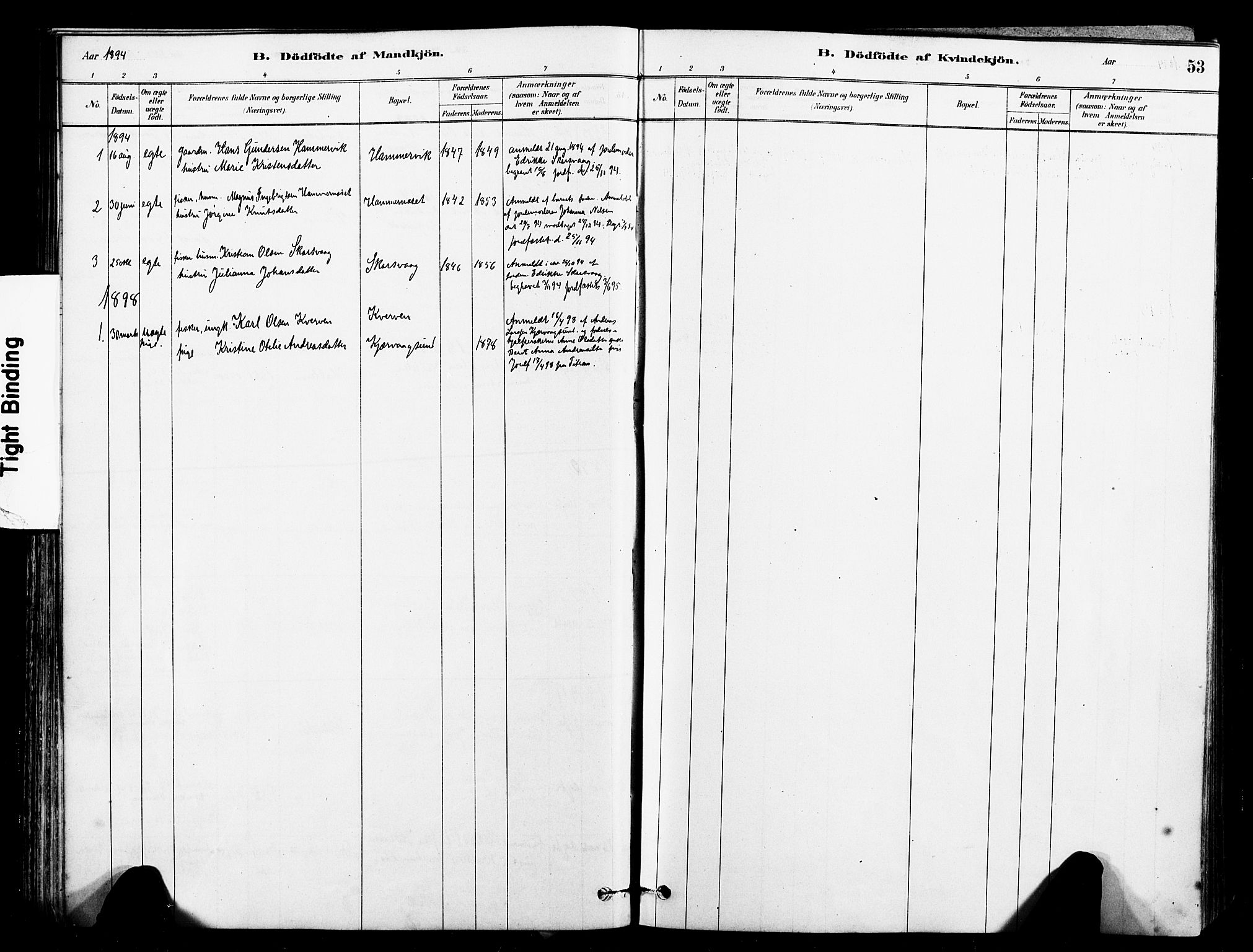 Ministerialprotokoller, klokkerbøker og fødselsregistre - Sør-Trøndelag, SAT/A-1456/641/L0595: Parish register (official) no. 641A01, 1882-1897, p. 53