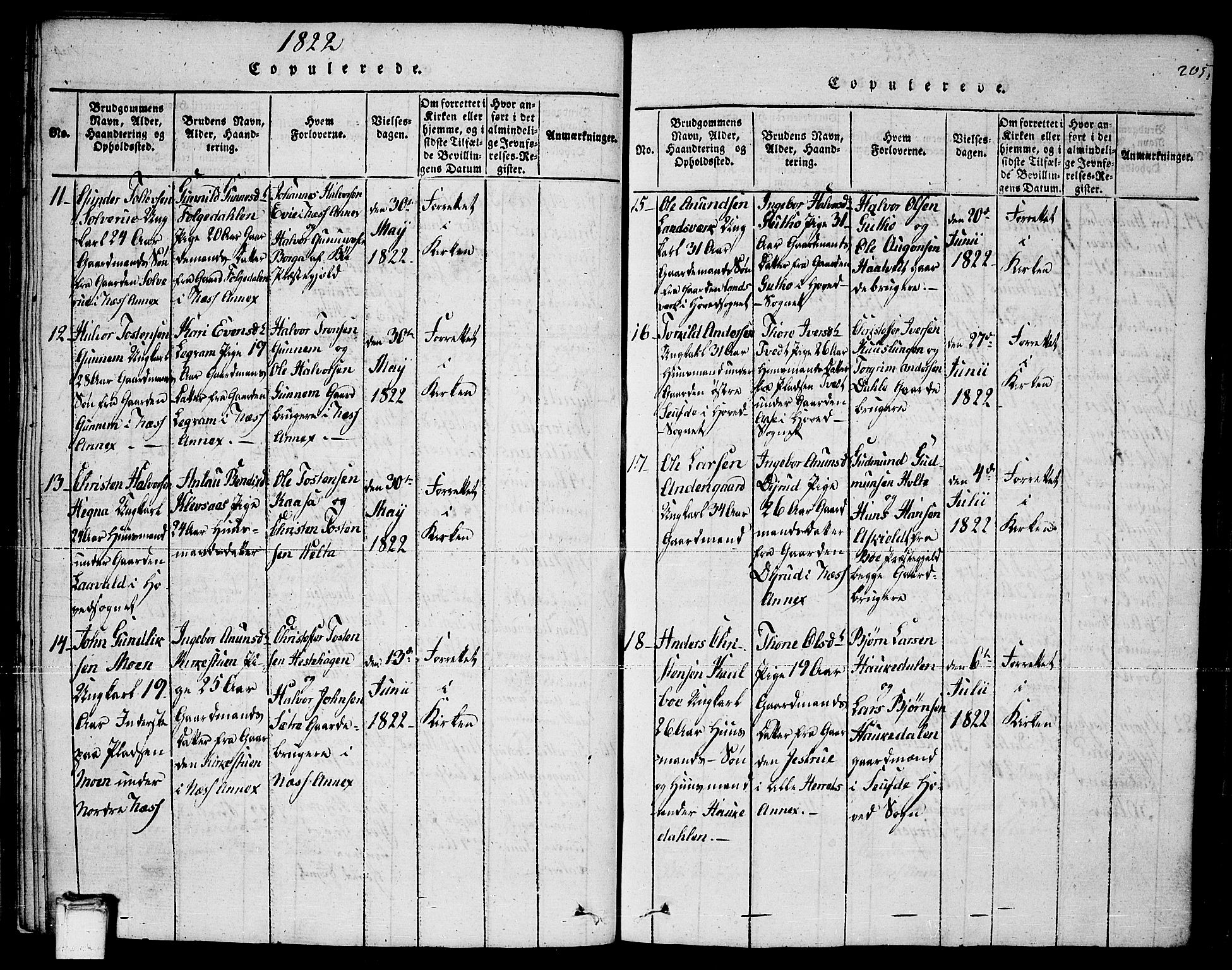 Sauherad kirkebøker, AV/SAKO-A-298/F/Fa/L0005: Parish register (official) no. I 5, 1815-1829, p. 205