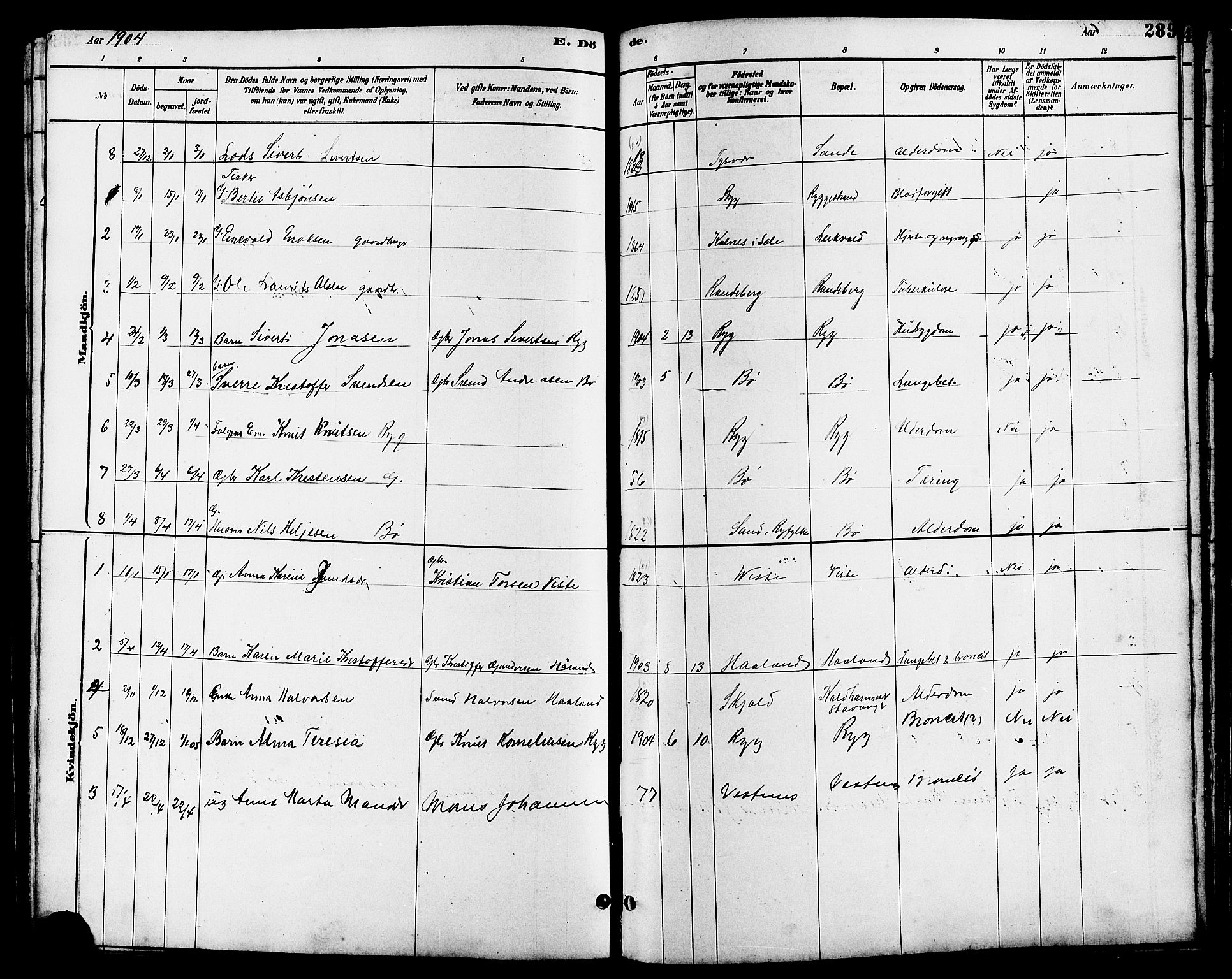 Hetland sokneprestkontor, SAST/A-101826/30/30BB/L0006: Parish register (copy) no. B 6, 1878-1921, p. 289